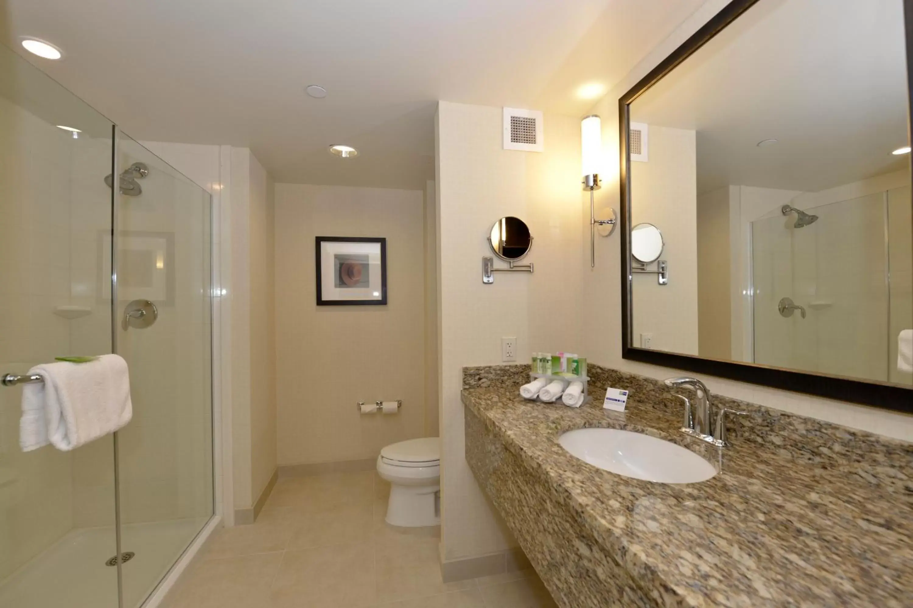 Bathroom in Holiday Inn Express Hotel & Suites Waterloo - St. Jacobs Area, an IHG Hotel
