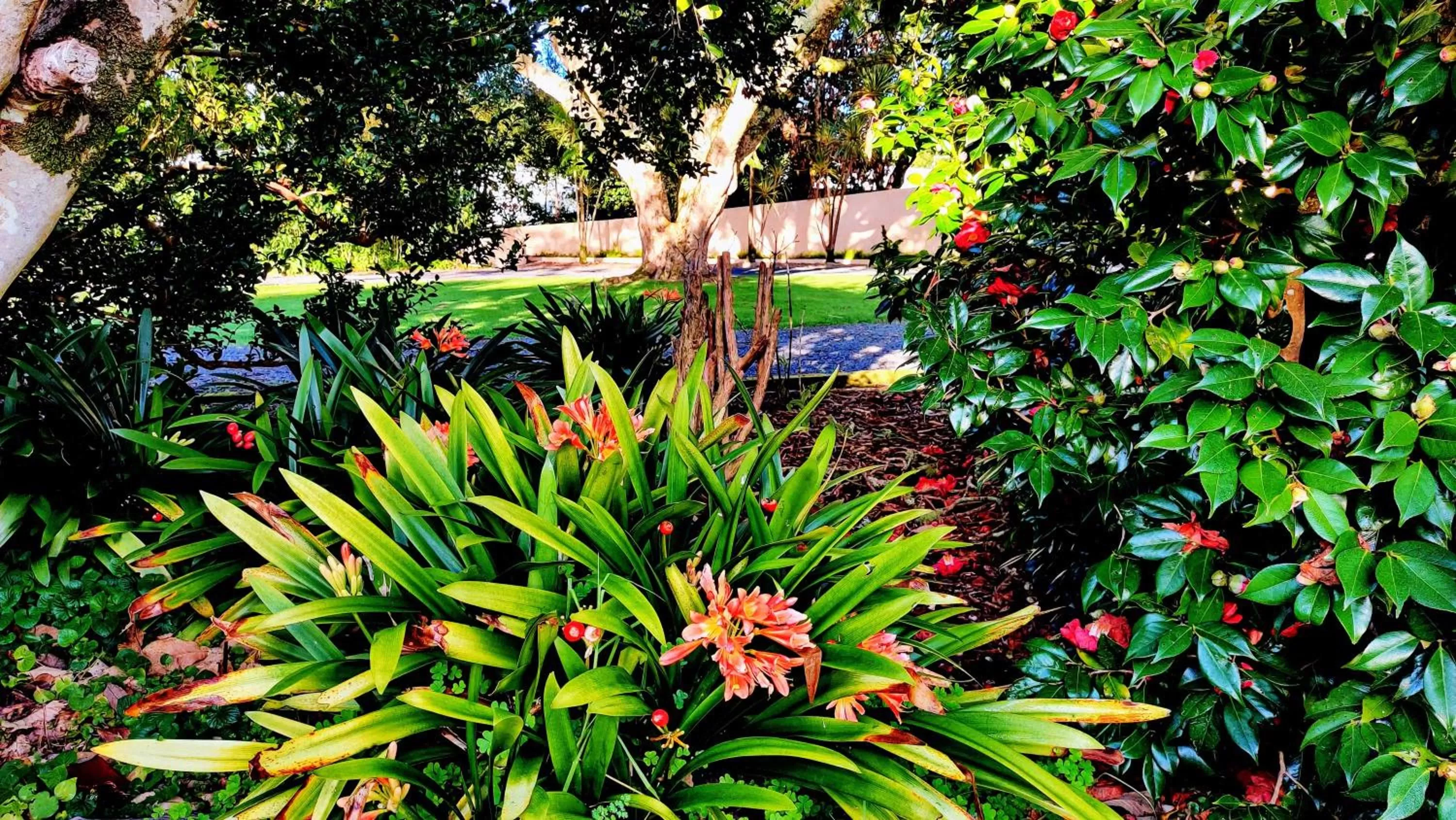 Garden in Moon Gate Villa