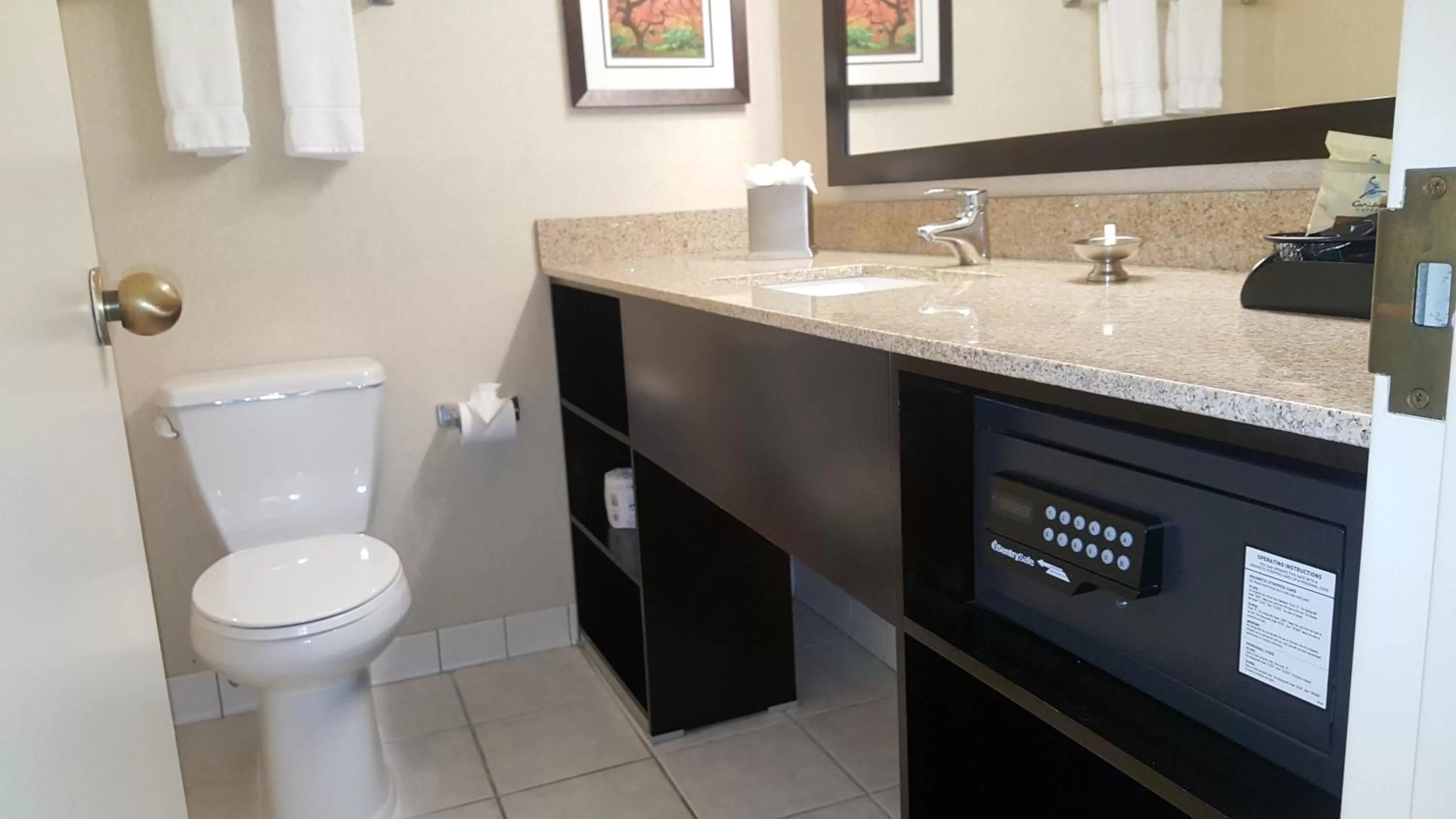 Bathroom in Best Western Premier Nicollet Inn