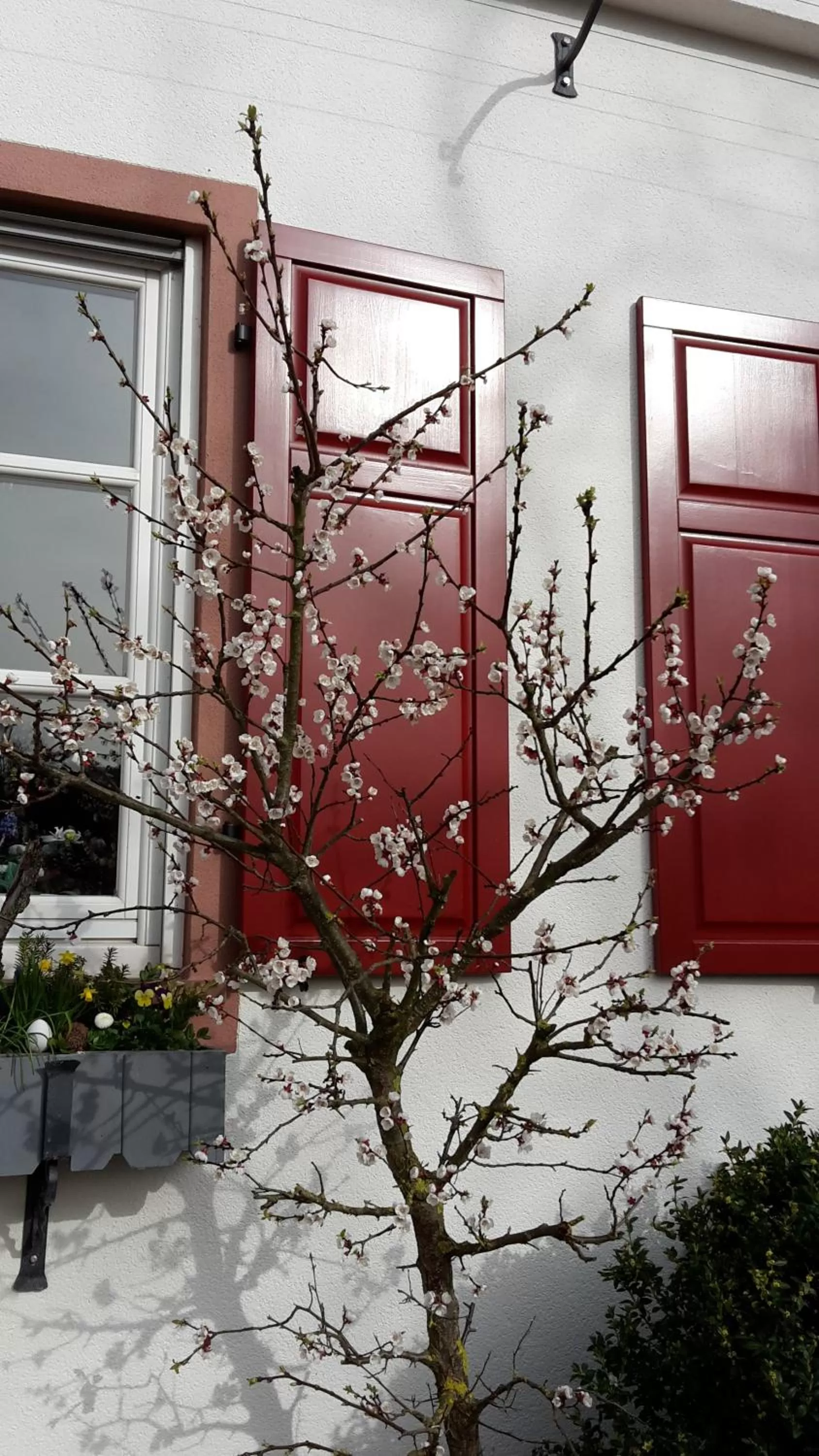 Facade/entrance in Hotel Mainblick Garni