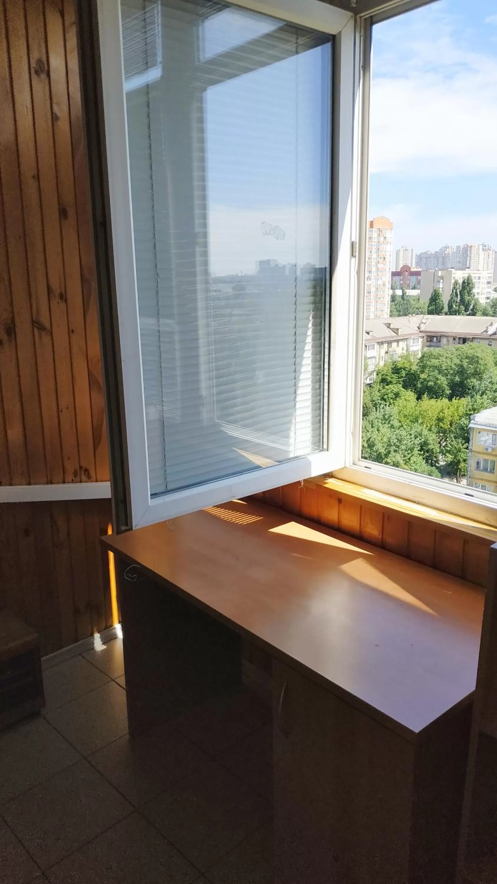 City view in Alaska Fox