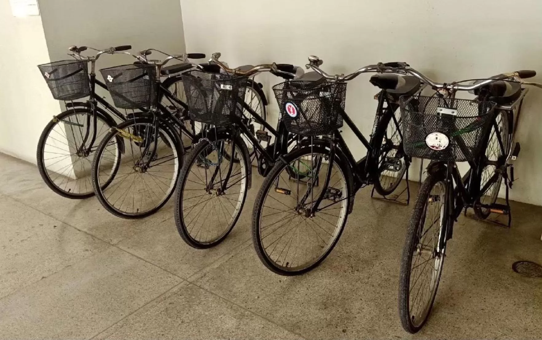 Activities in Sun Hotel