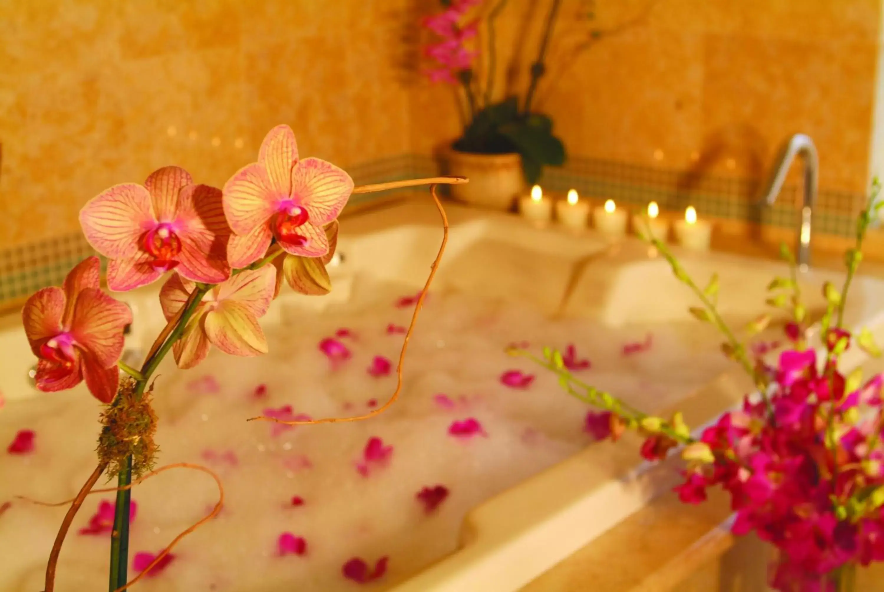 Spa and wellness centre/facilities in Biltmore Hotel