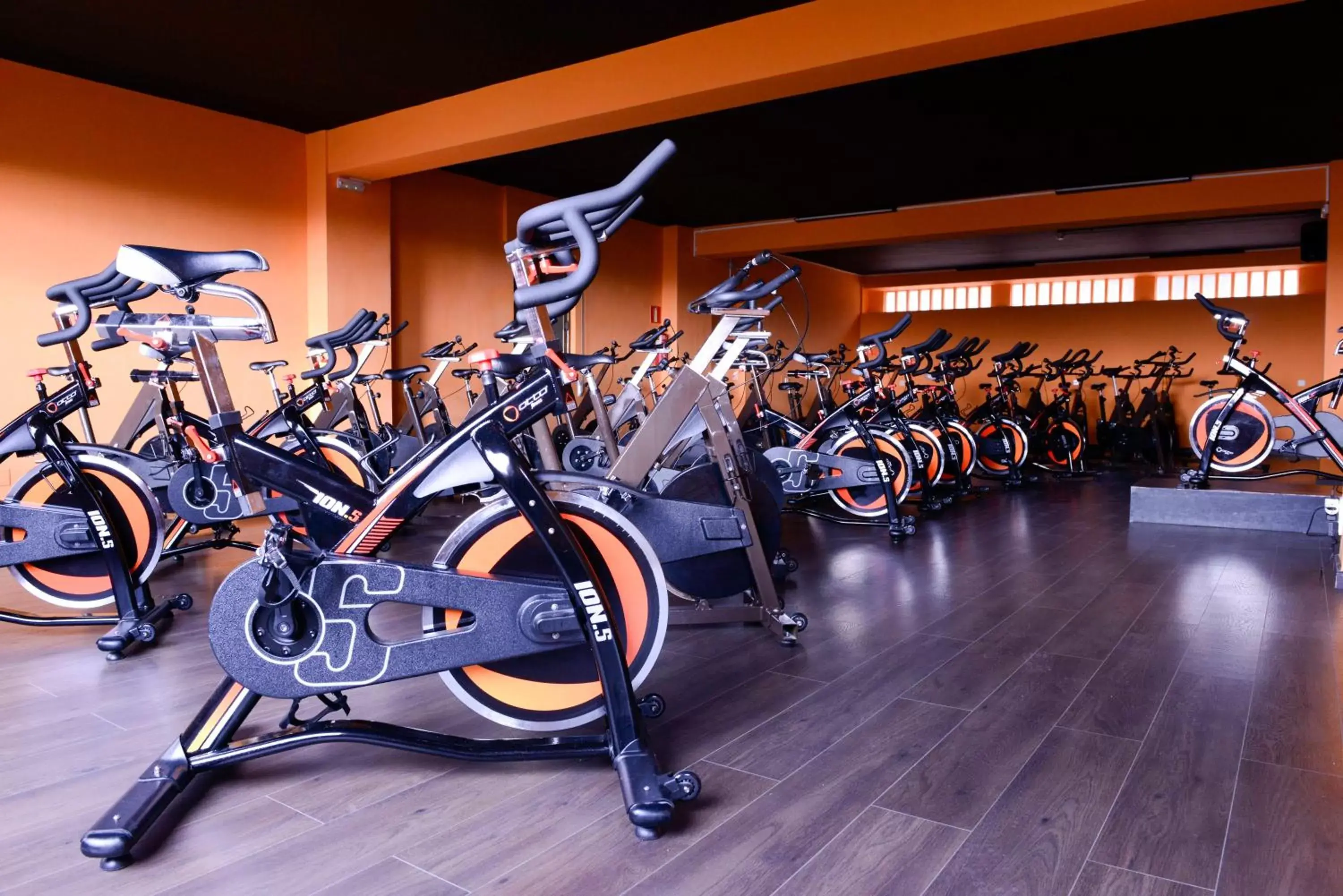 Day, Fitness Center/Facilities in Hotel San Millán