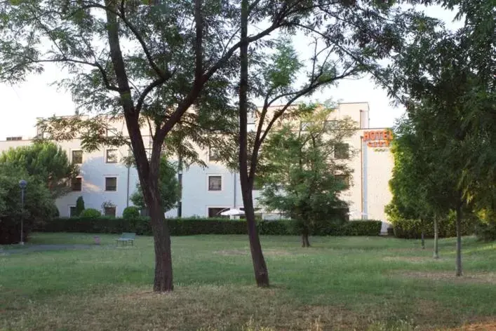 Garden, Property Building in Hotel City