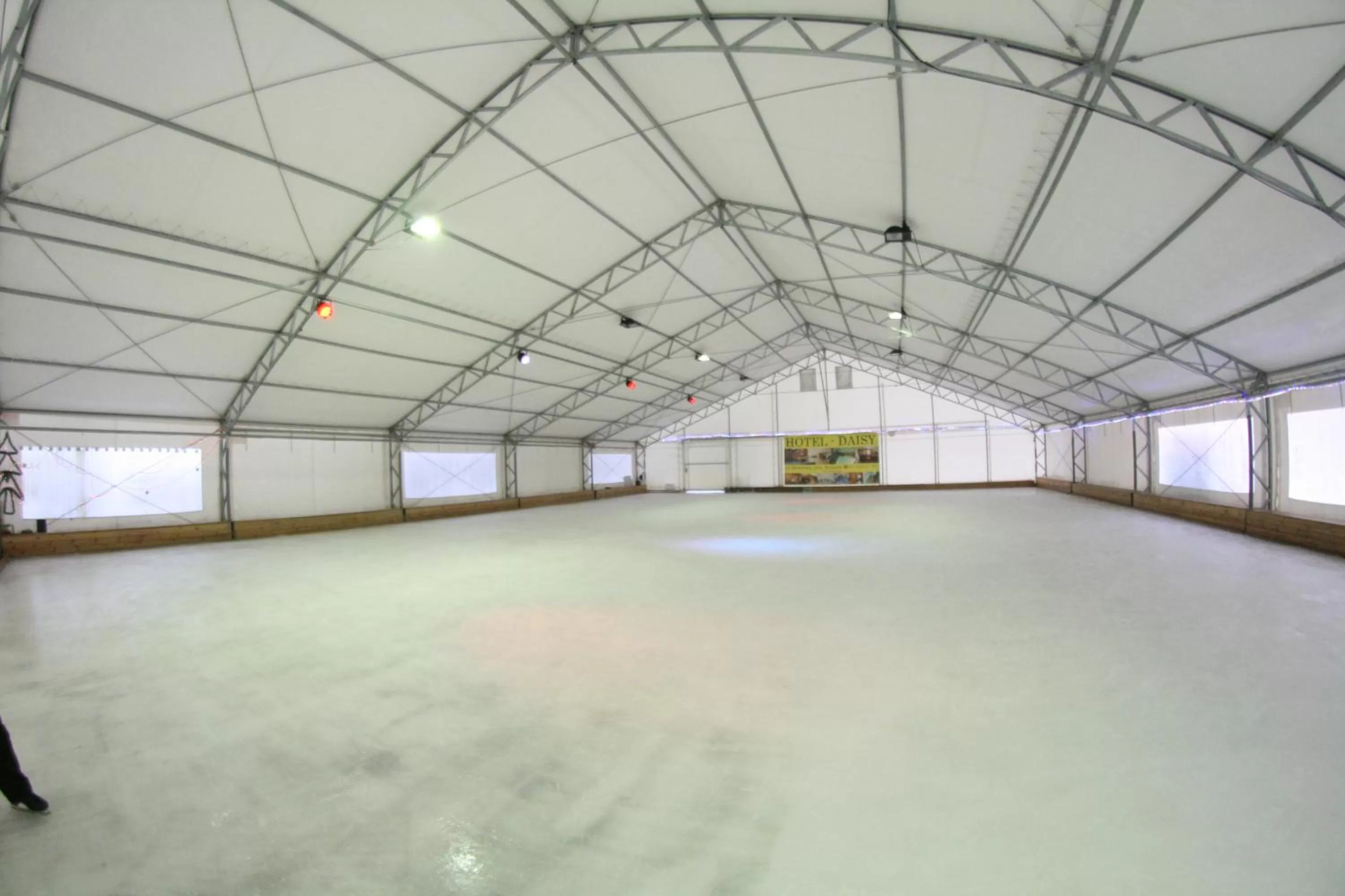 Sports in Daisy Superior