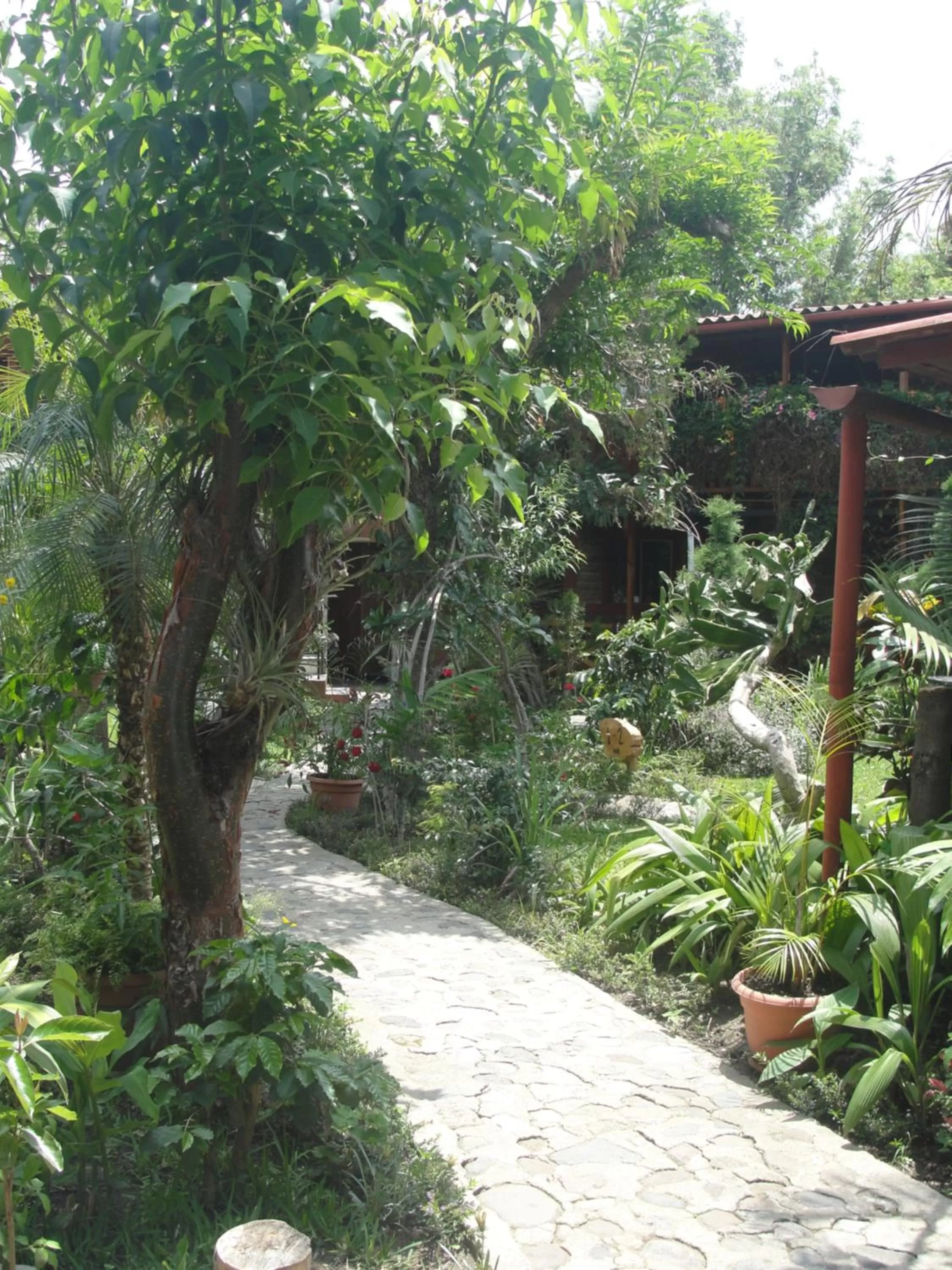 Garden in Hotel Utz Jay