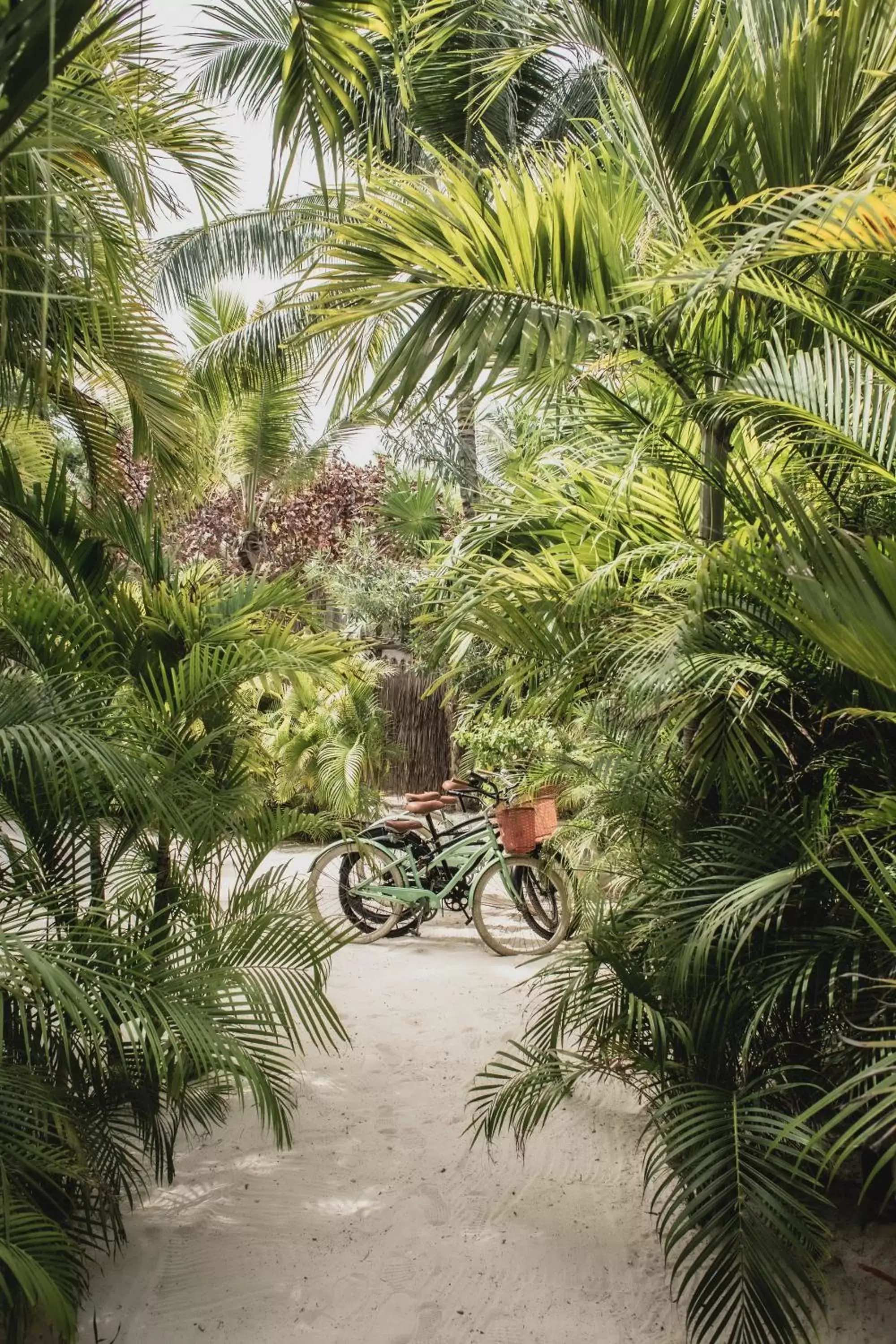 Garden view in La Valise Tulum