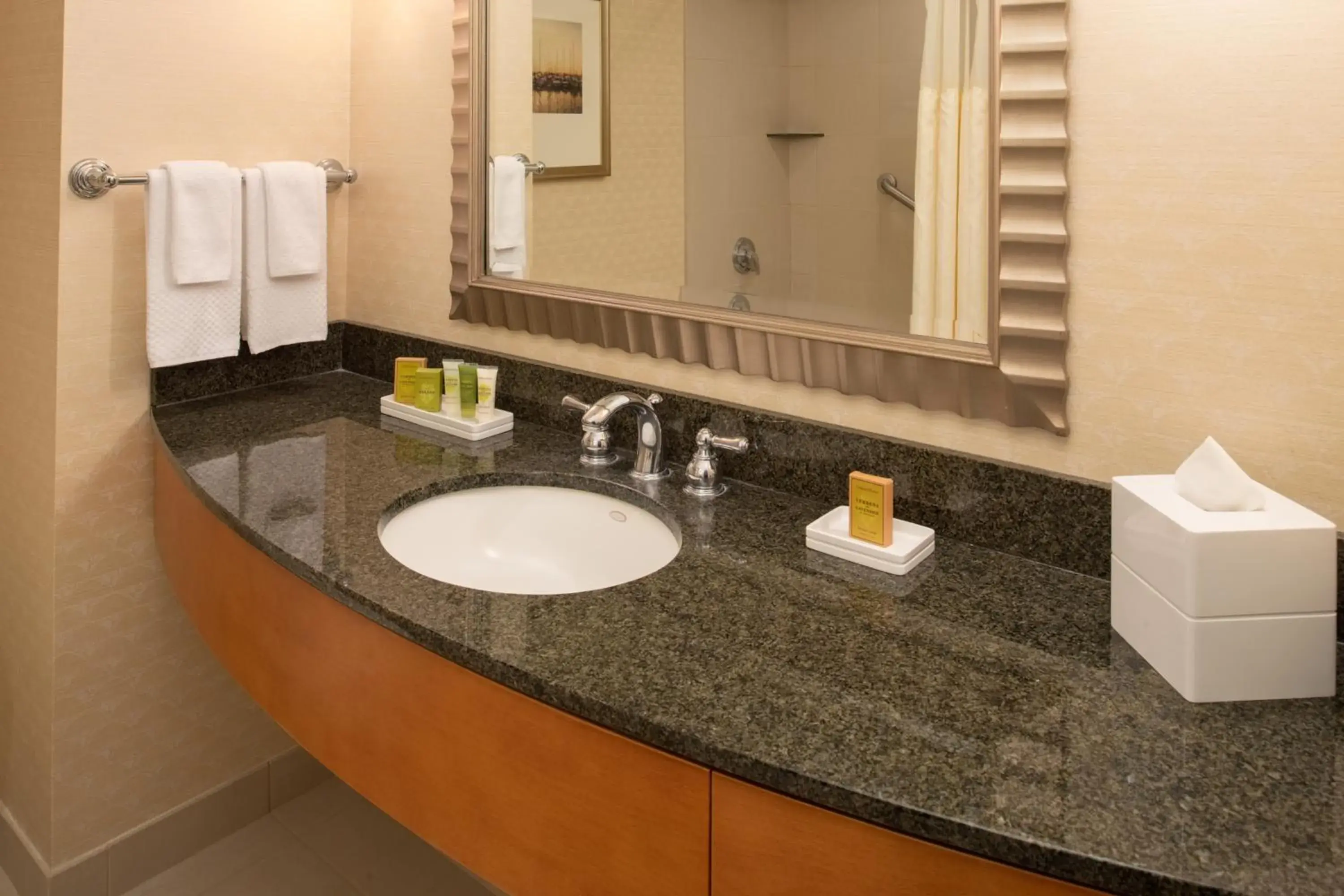 Bathroom in Hilton Vancouver Washington