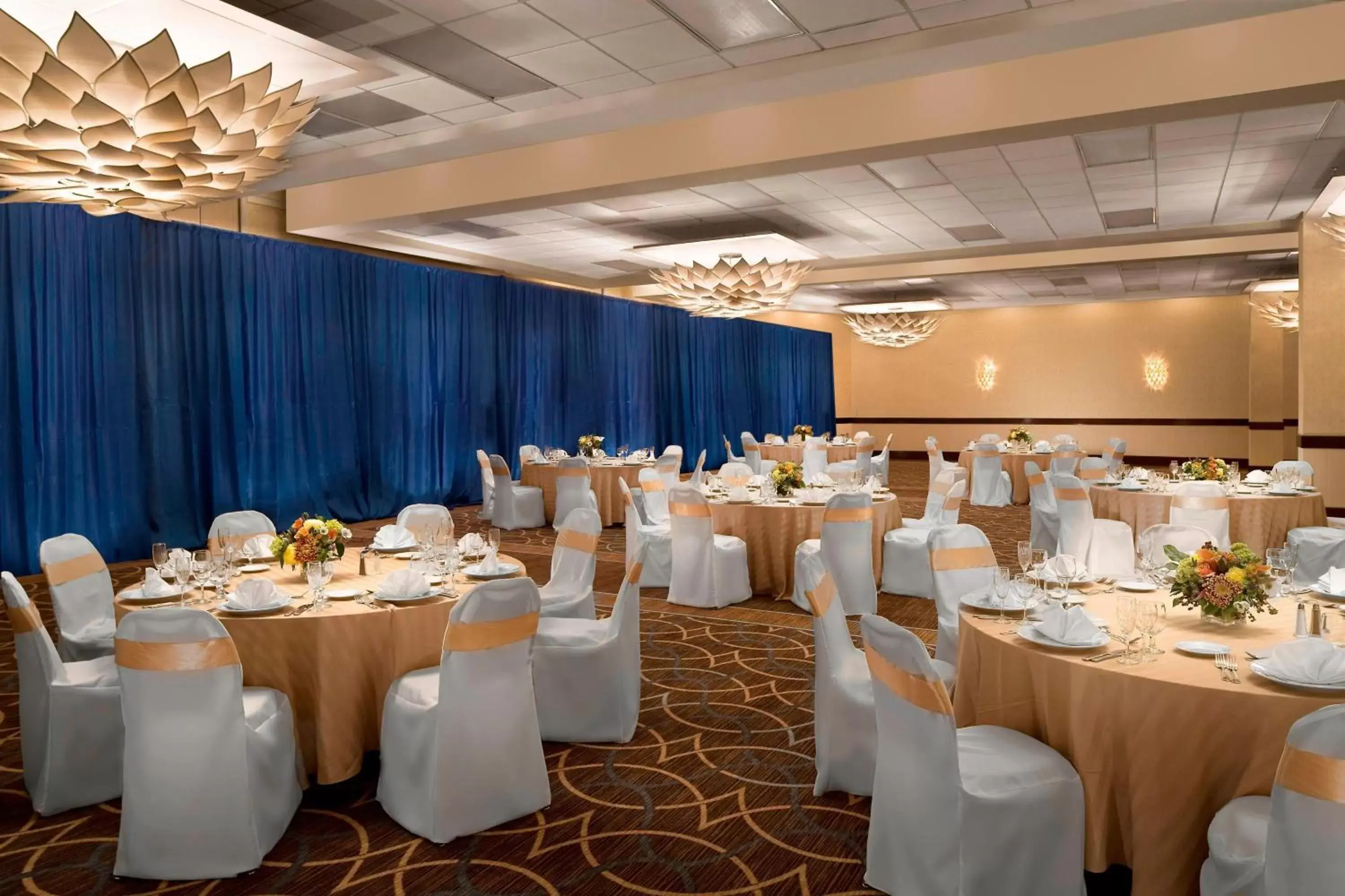 Meeting/conference room, Banquet Facilities in The Stamford Hotel