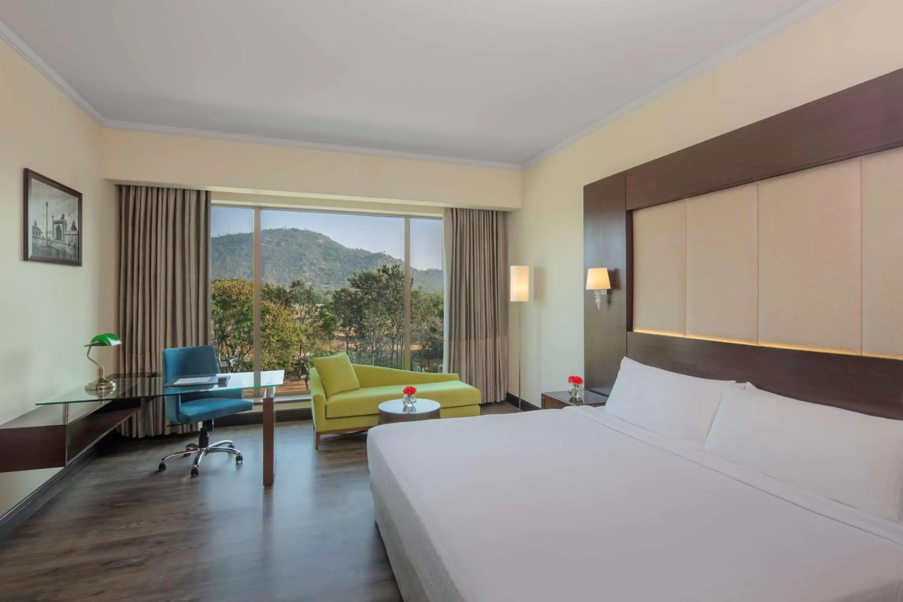 Photo of the whole room, Mountain View in Radisson Blu Plaza Hotel Mysore