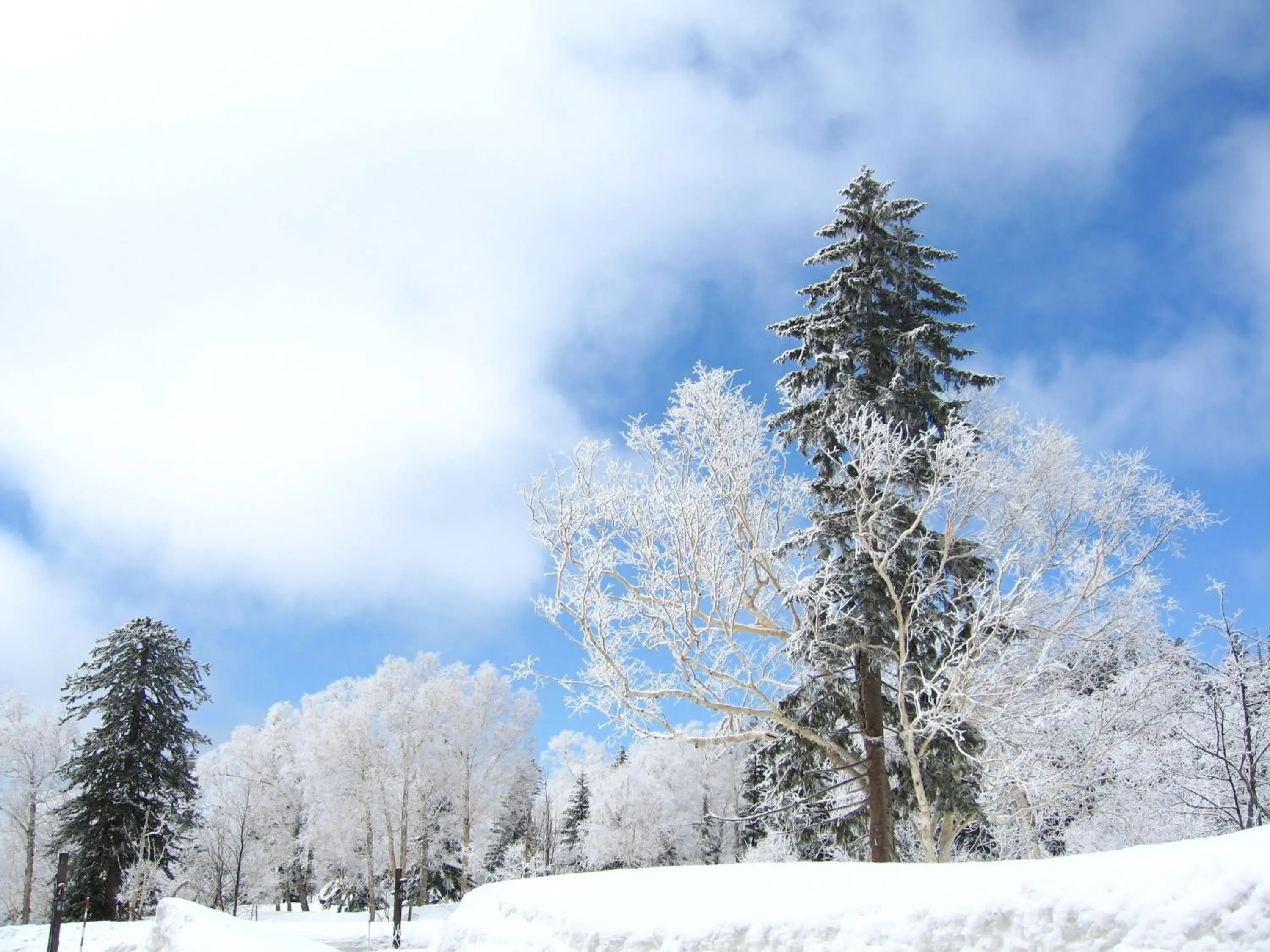 Natural landscape, Winter in Asahidake Onsen Hotel Bear Monte