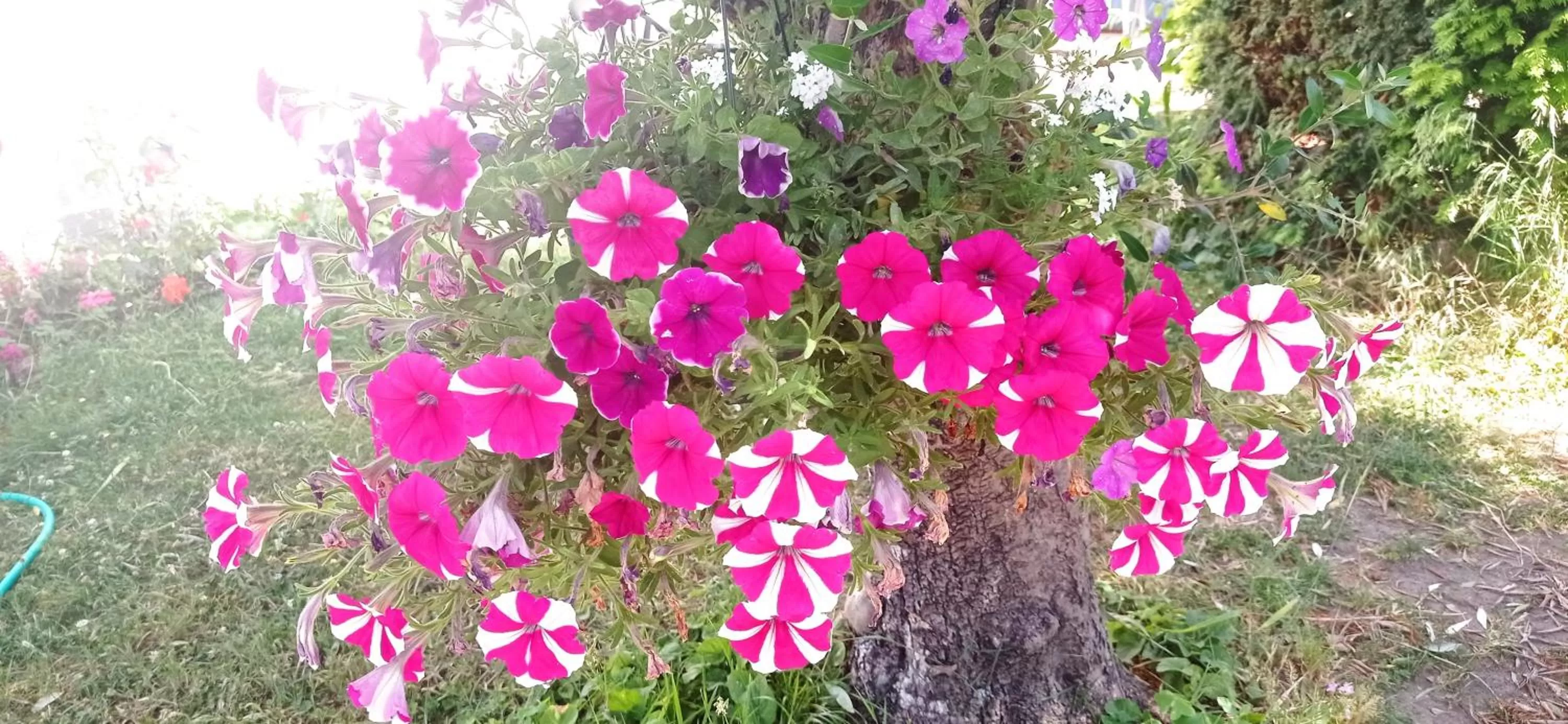 2 chambres et salle de bain un oasis de bien être Piscine et jardin Direct Gare Aéroport