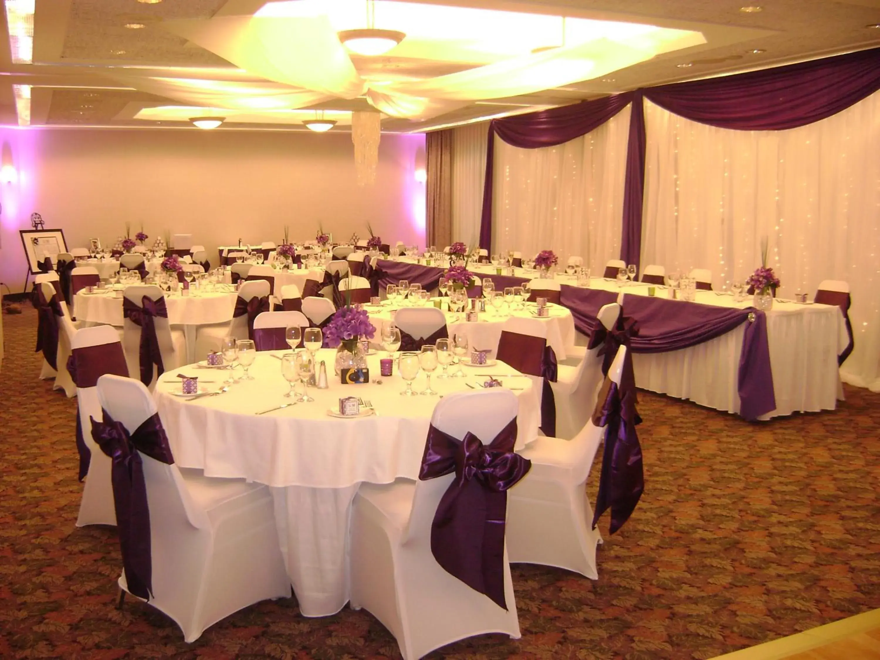 Banquet/Function facilities, Banquet Facilities in Cartier Place Suite Hotel