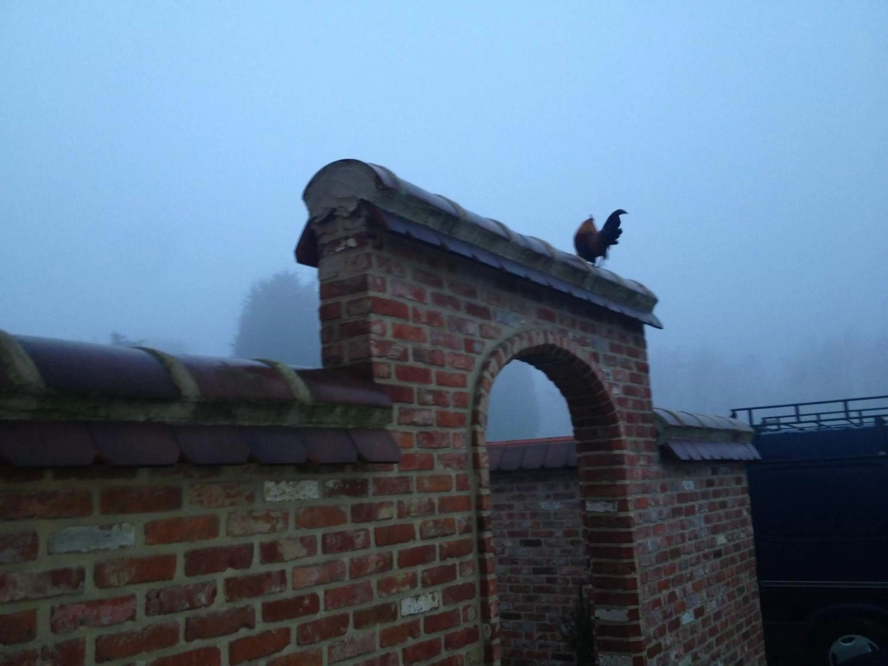 Other in B&B Silentium