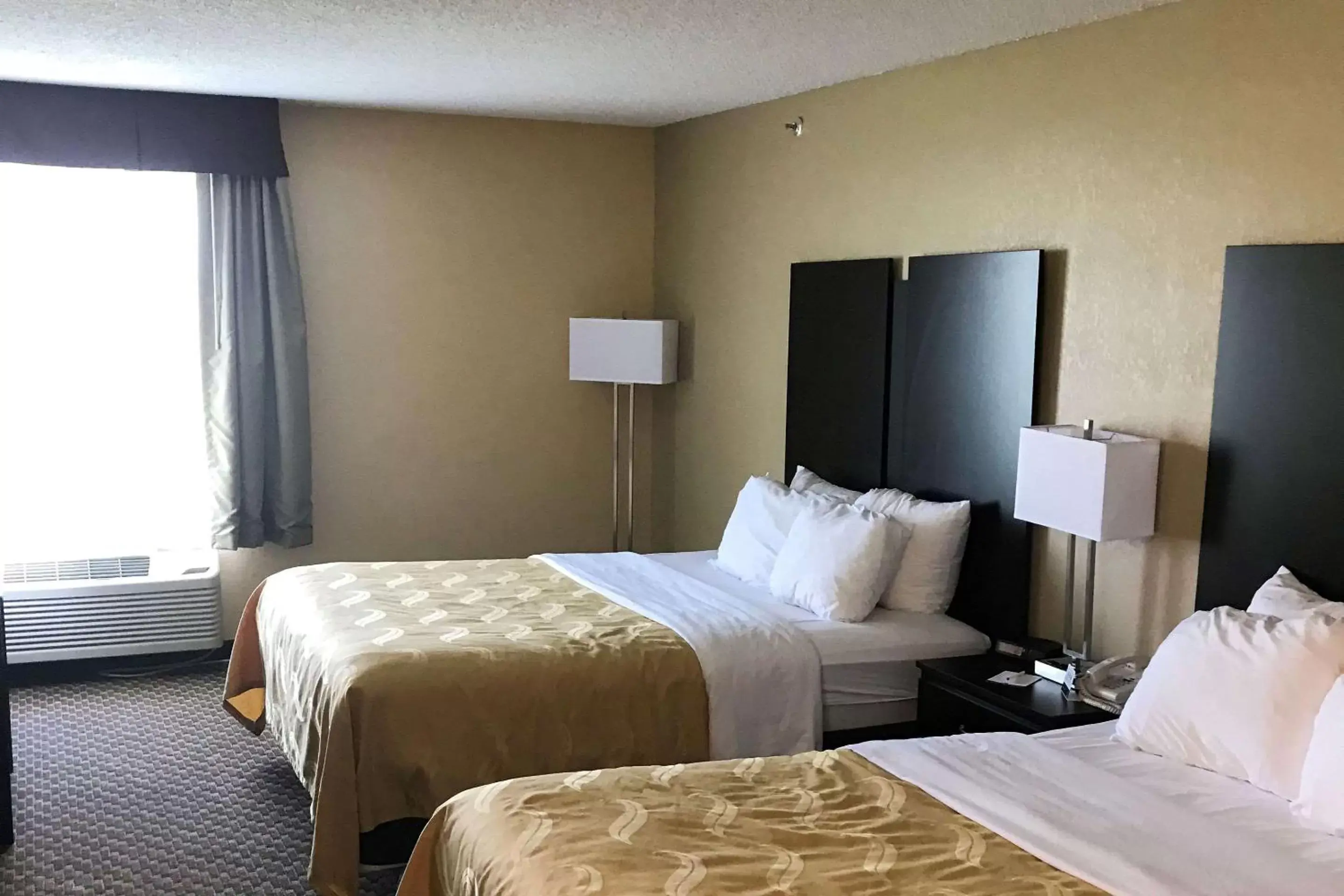 Photo of the whole room, Bed in Quality Inn & Suites Mendota near I-39