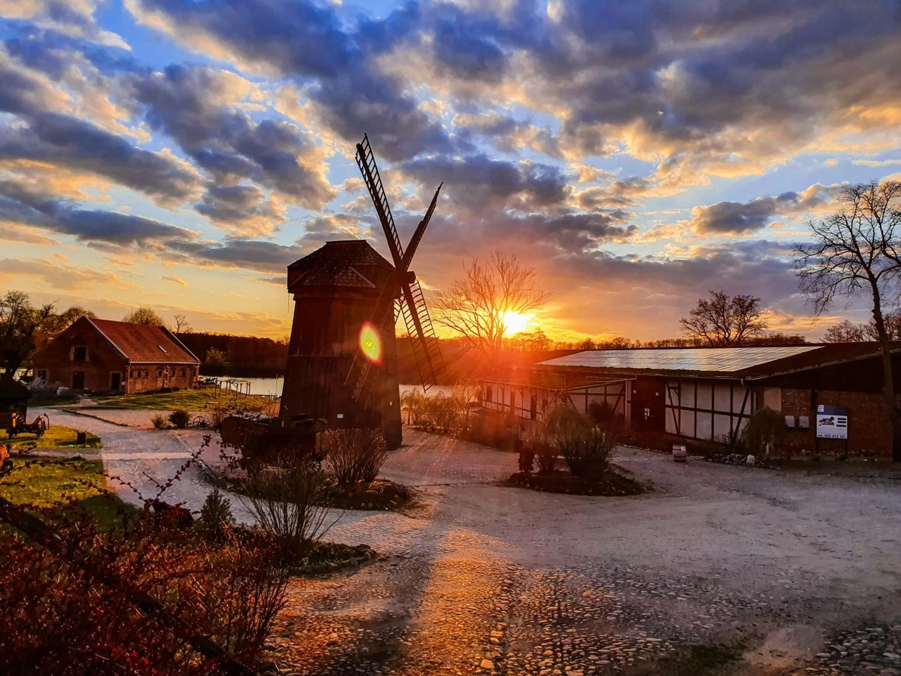 Garden view in Olandia