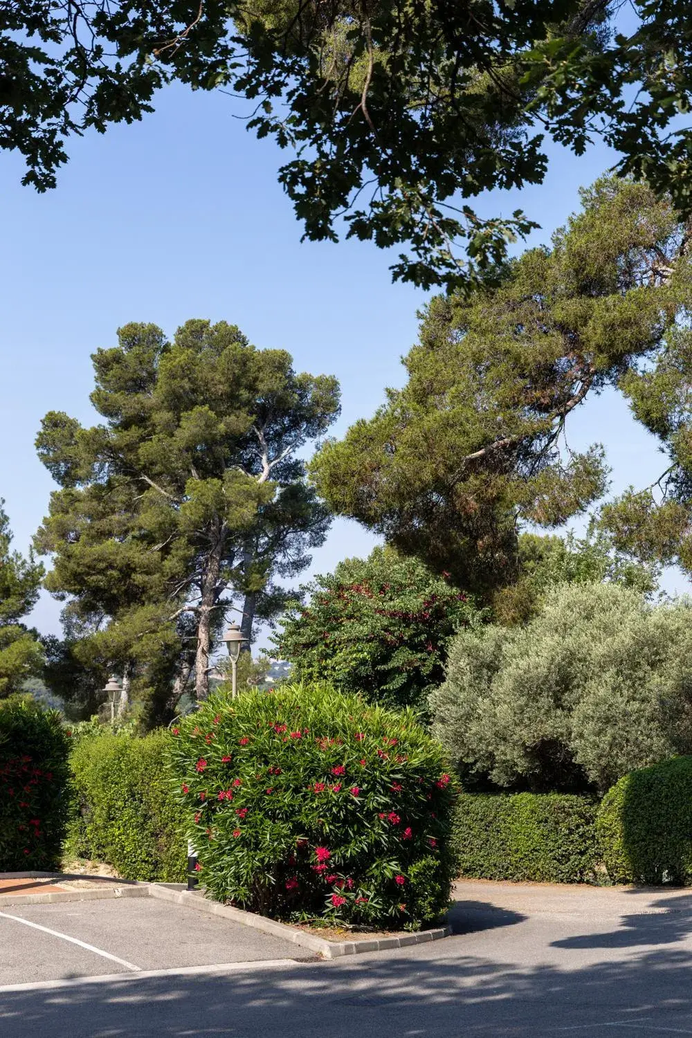 Natural landscape in INTER-HOTEL CÃ´tÃ© Sud Hotel Allauch