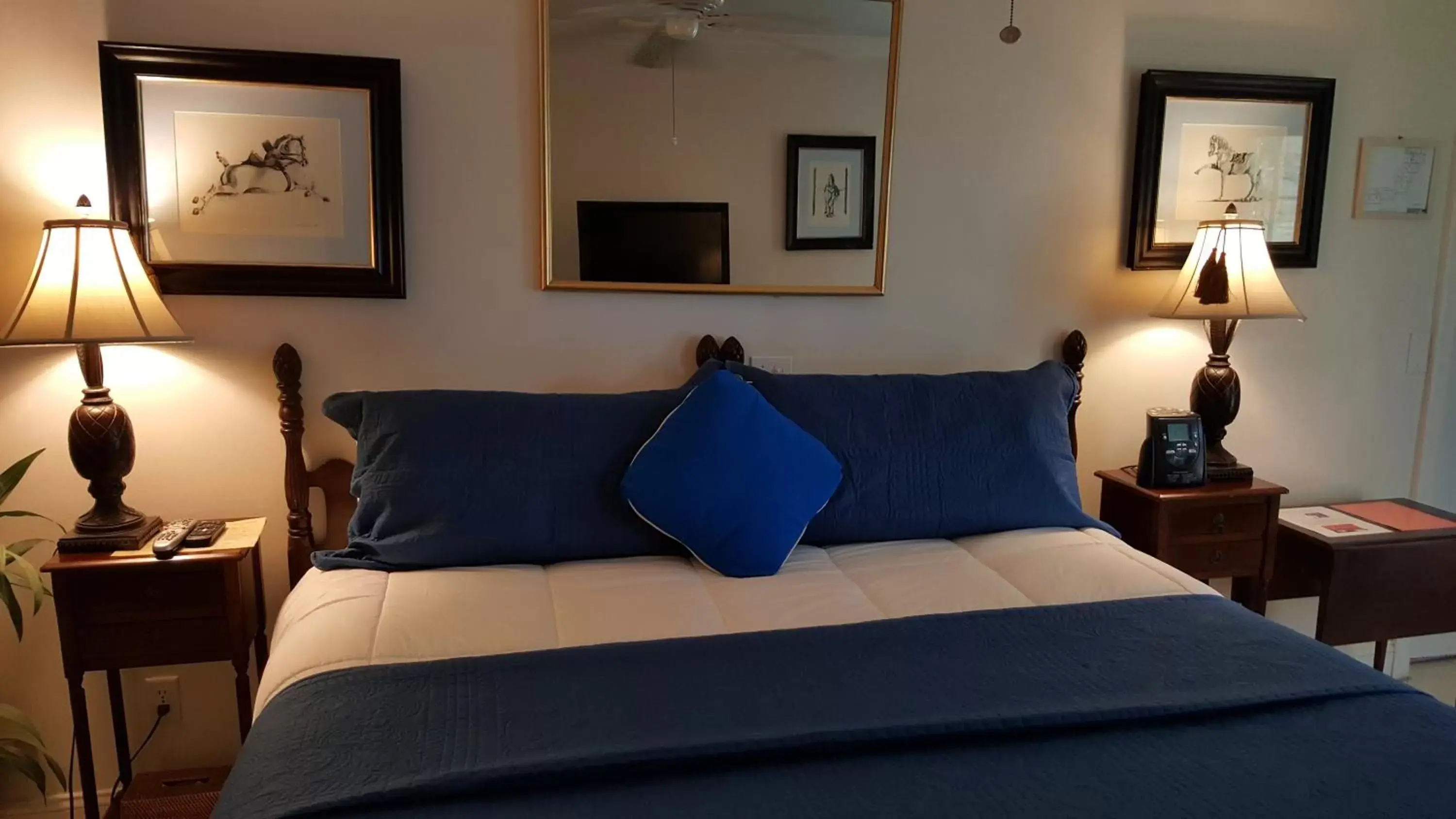 Animals, Bed in The Caribbean Court Boutique Hotel