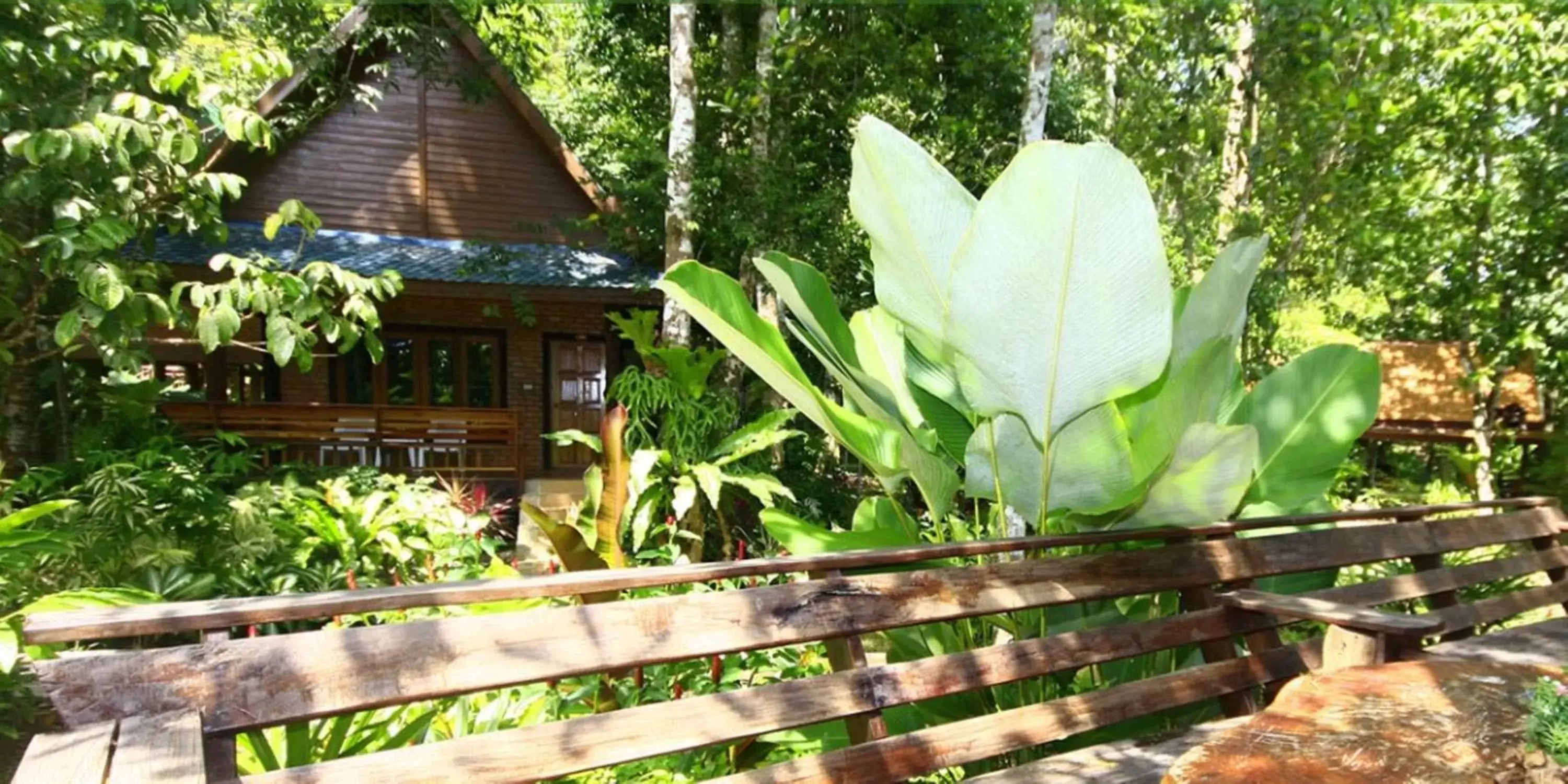 Balcony/Terrace in Aonang Cliff View Resort SHA Extra Plus