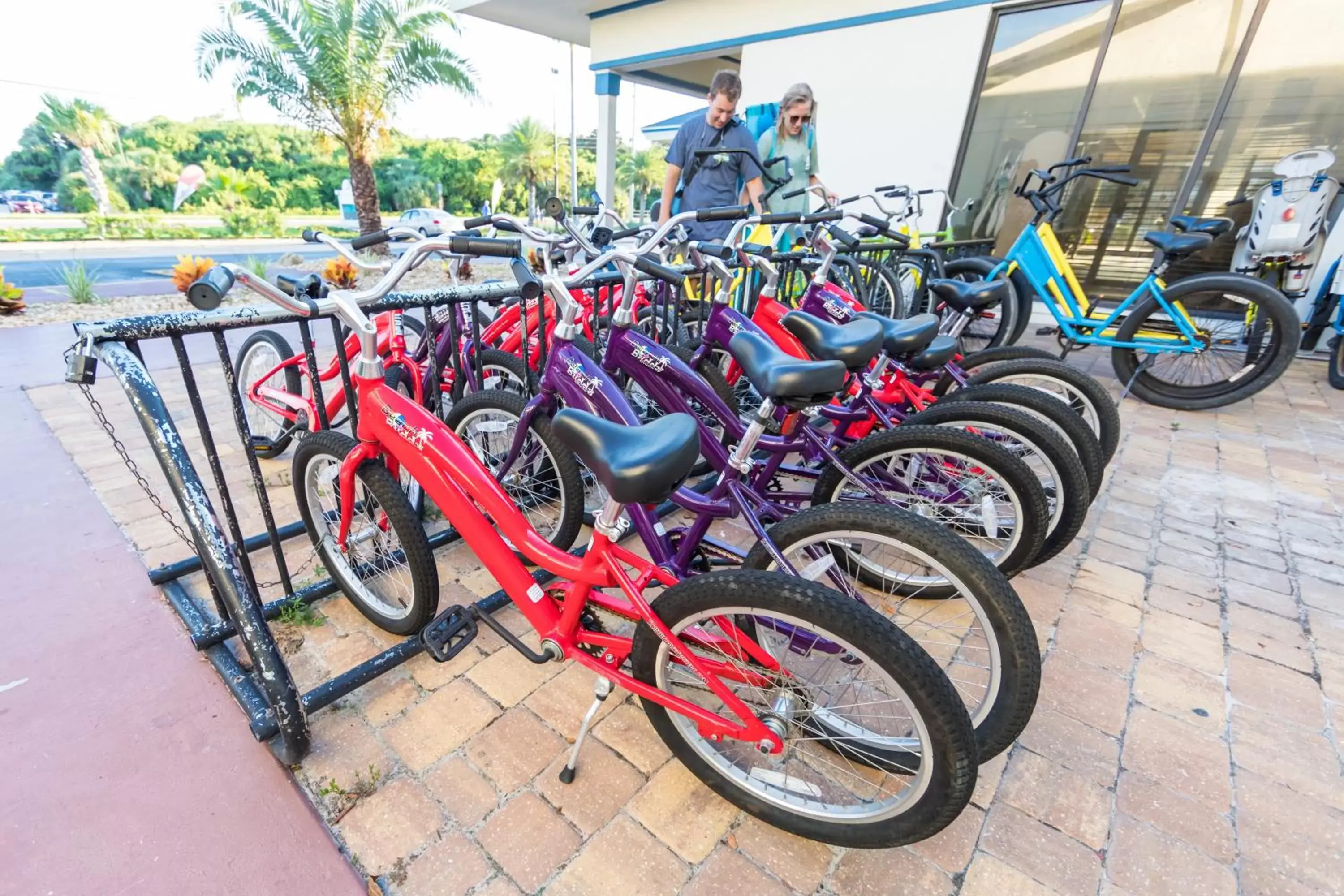 Activities, Biking in Ocean Coast Hotel at the Beach Amelia Island