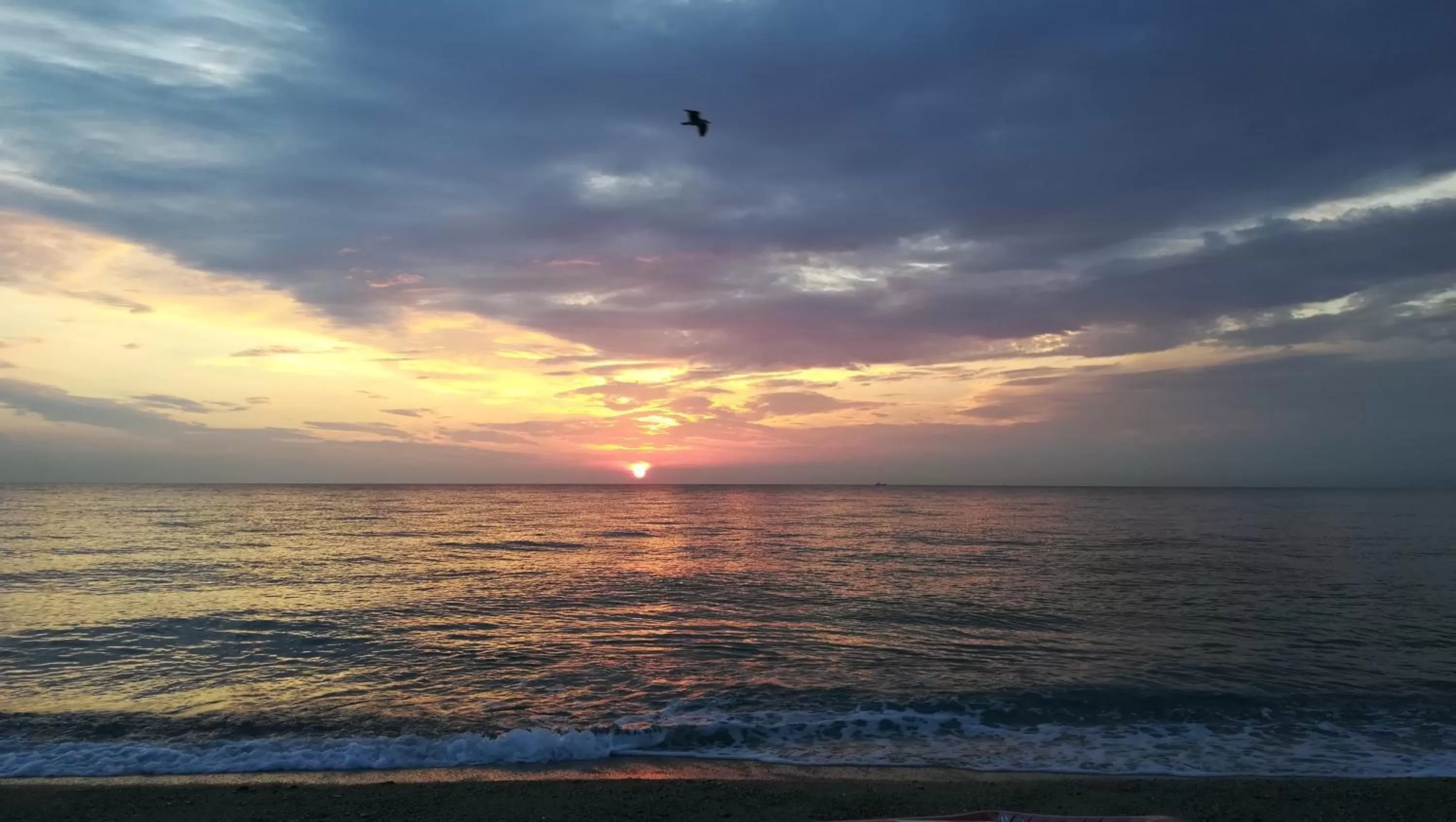 Beach in Residence Santa Barbara