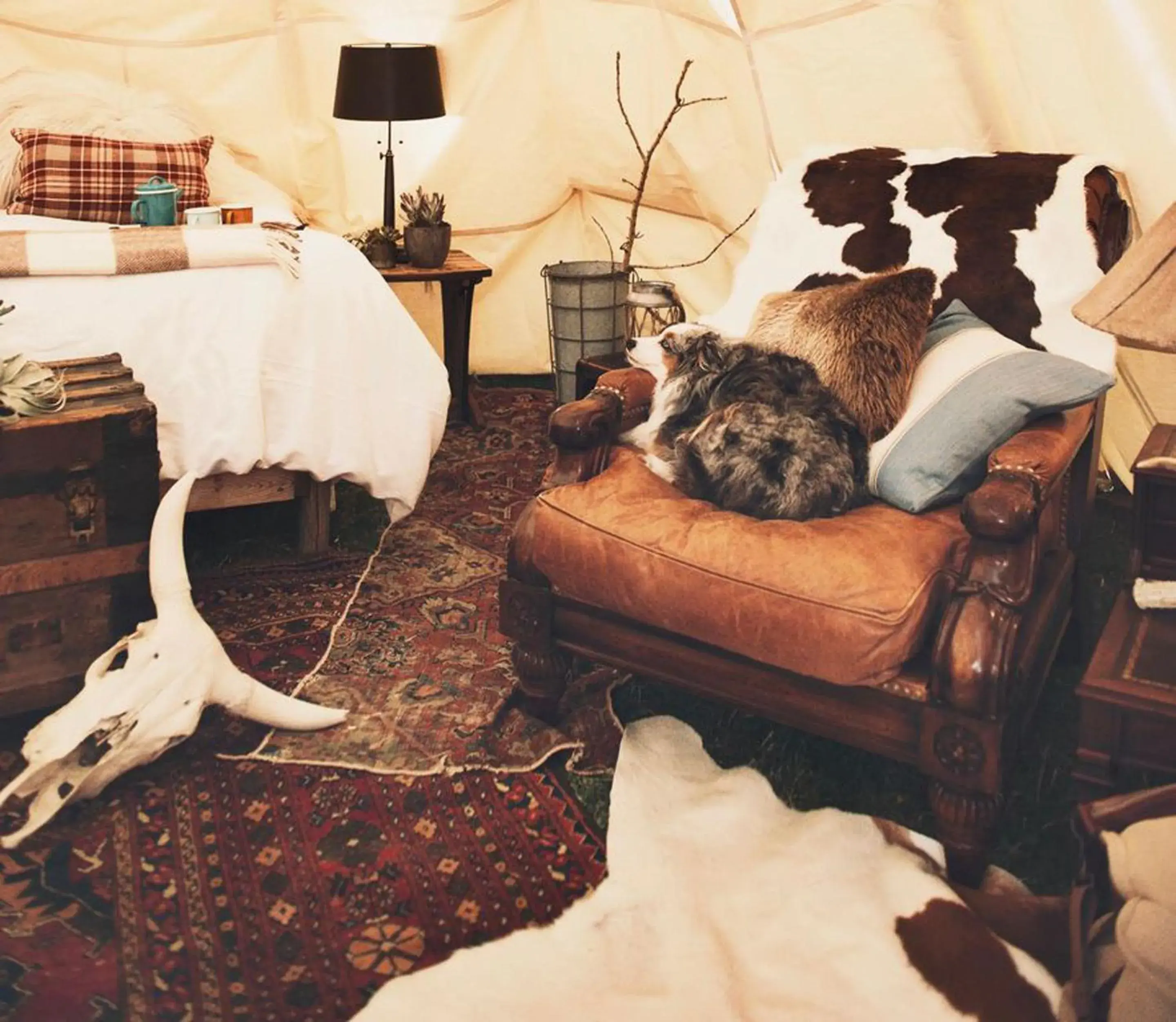 Living room in Dreamcatcher Tipi Hotel