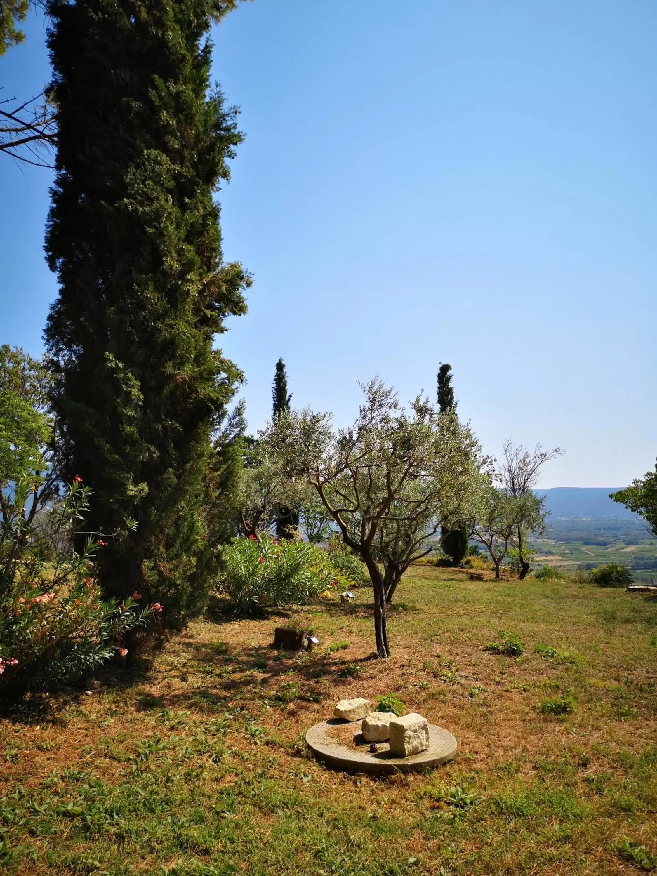 Garden in La Bastide du Limon