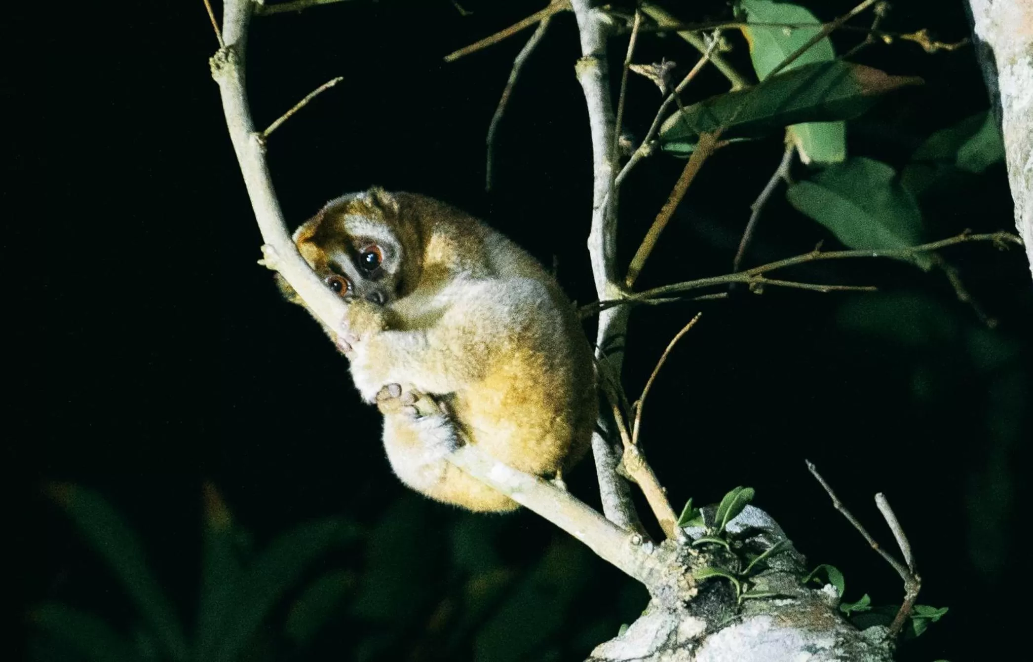 Activities in Khaolak Merlin Resort