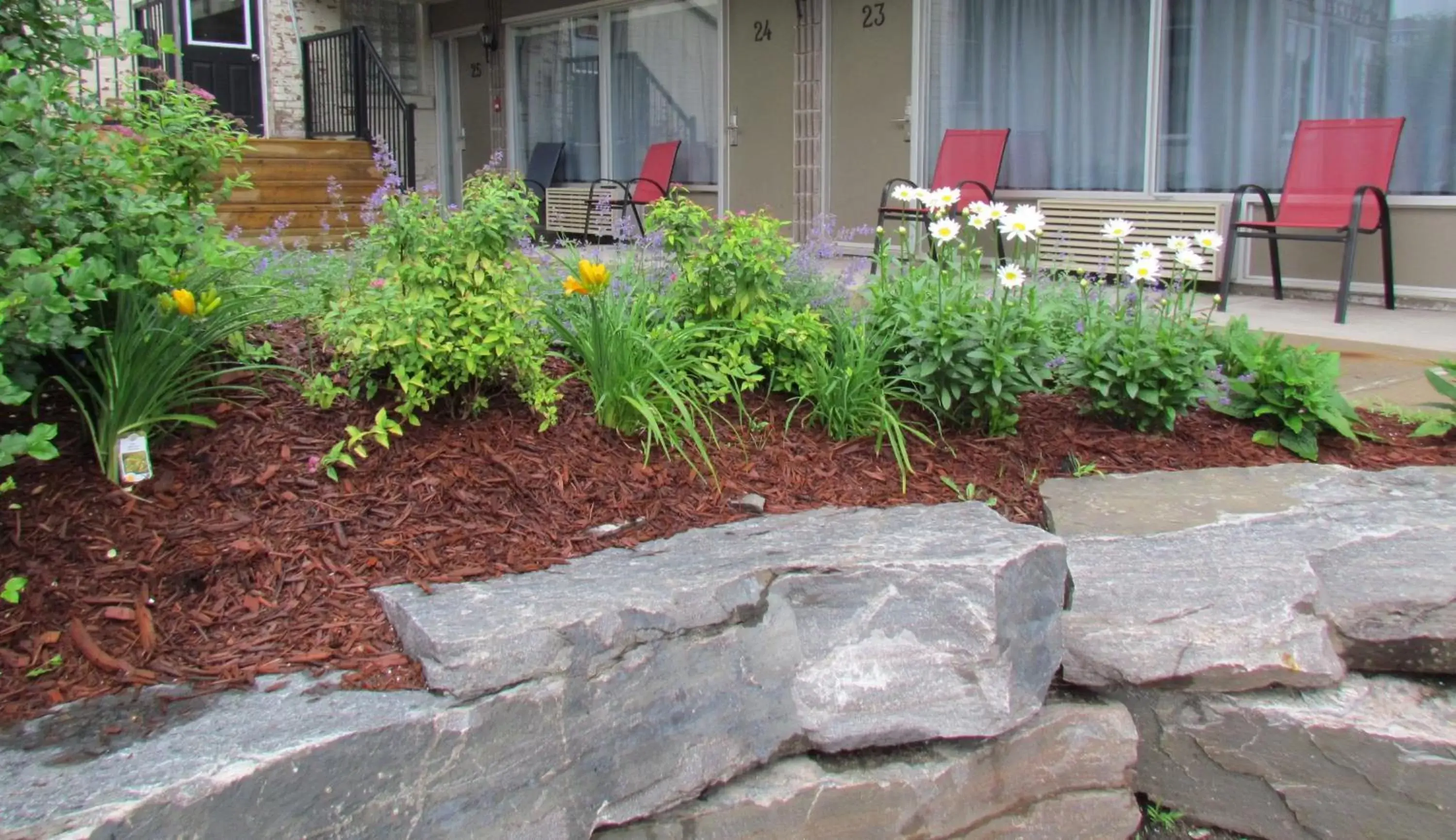 Natural landscape in Rodeway Inn King William Huntsville