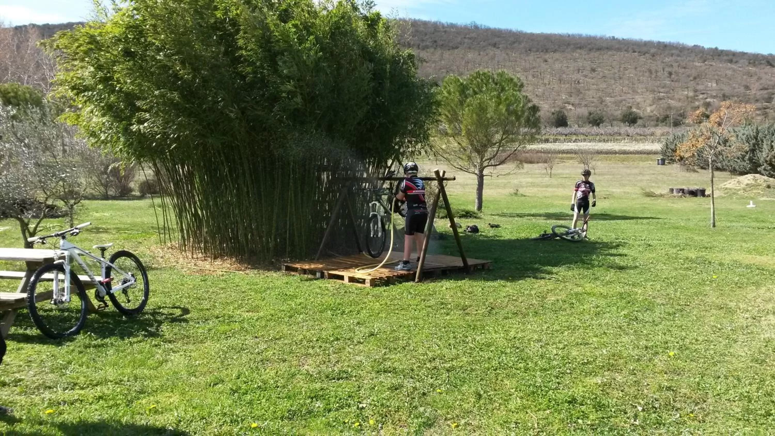 Garden view in Chambres d'Hôtes Aux Tournesols