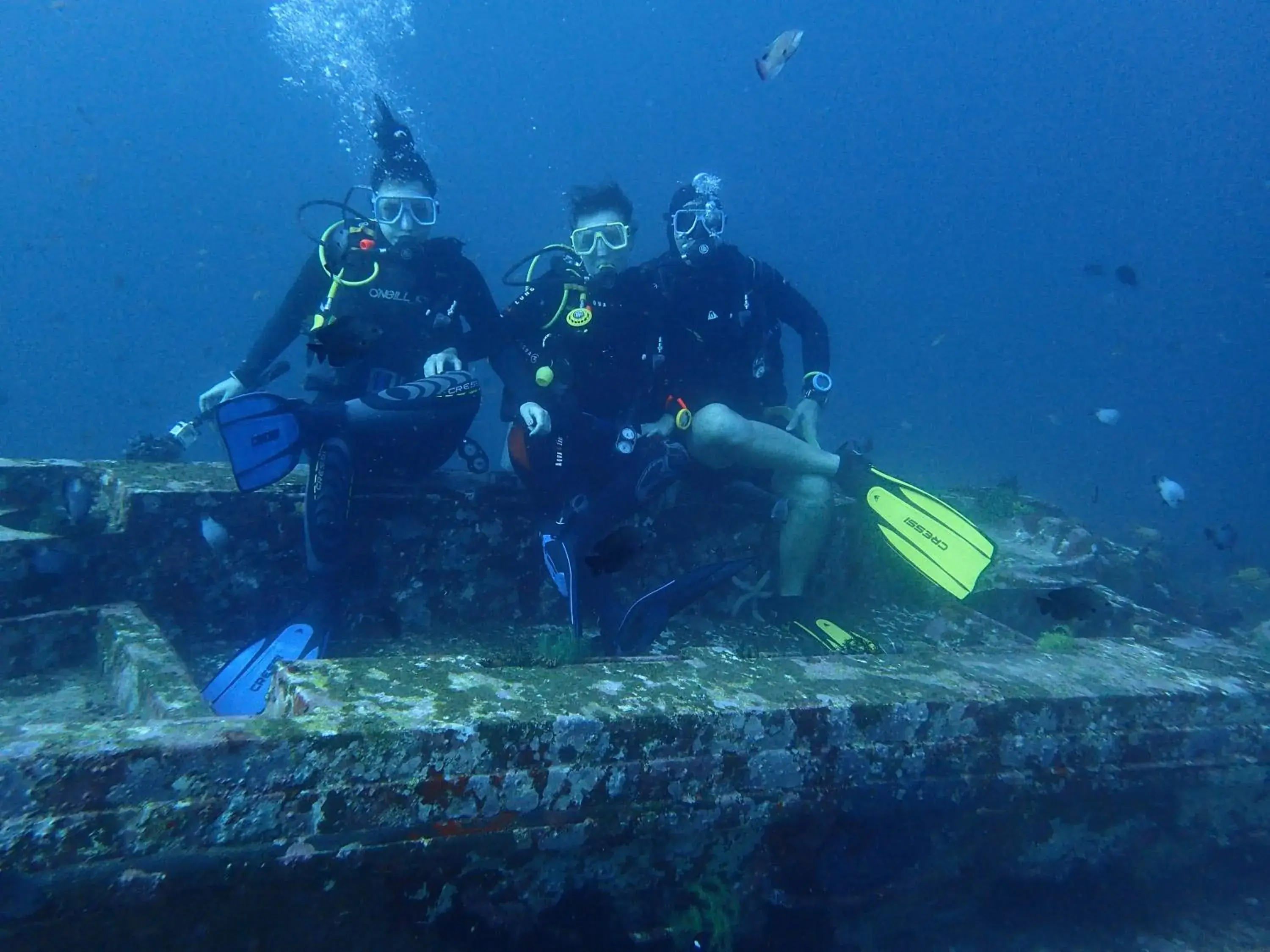 Diving, Snorkeling/Diving in Edgewater Dive & Spa Resort