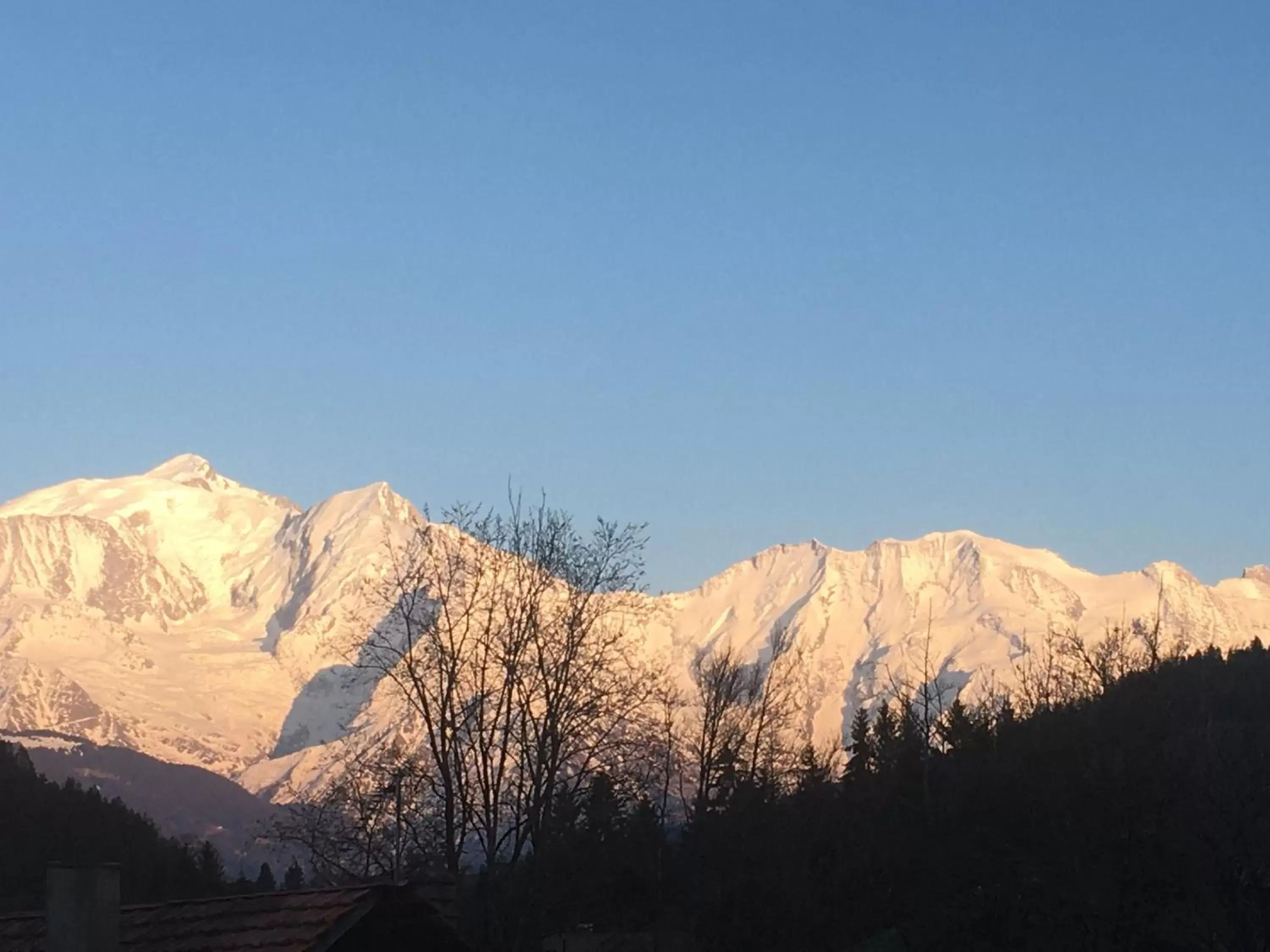 Mountain View in Hôtel Le Savoie