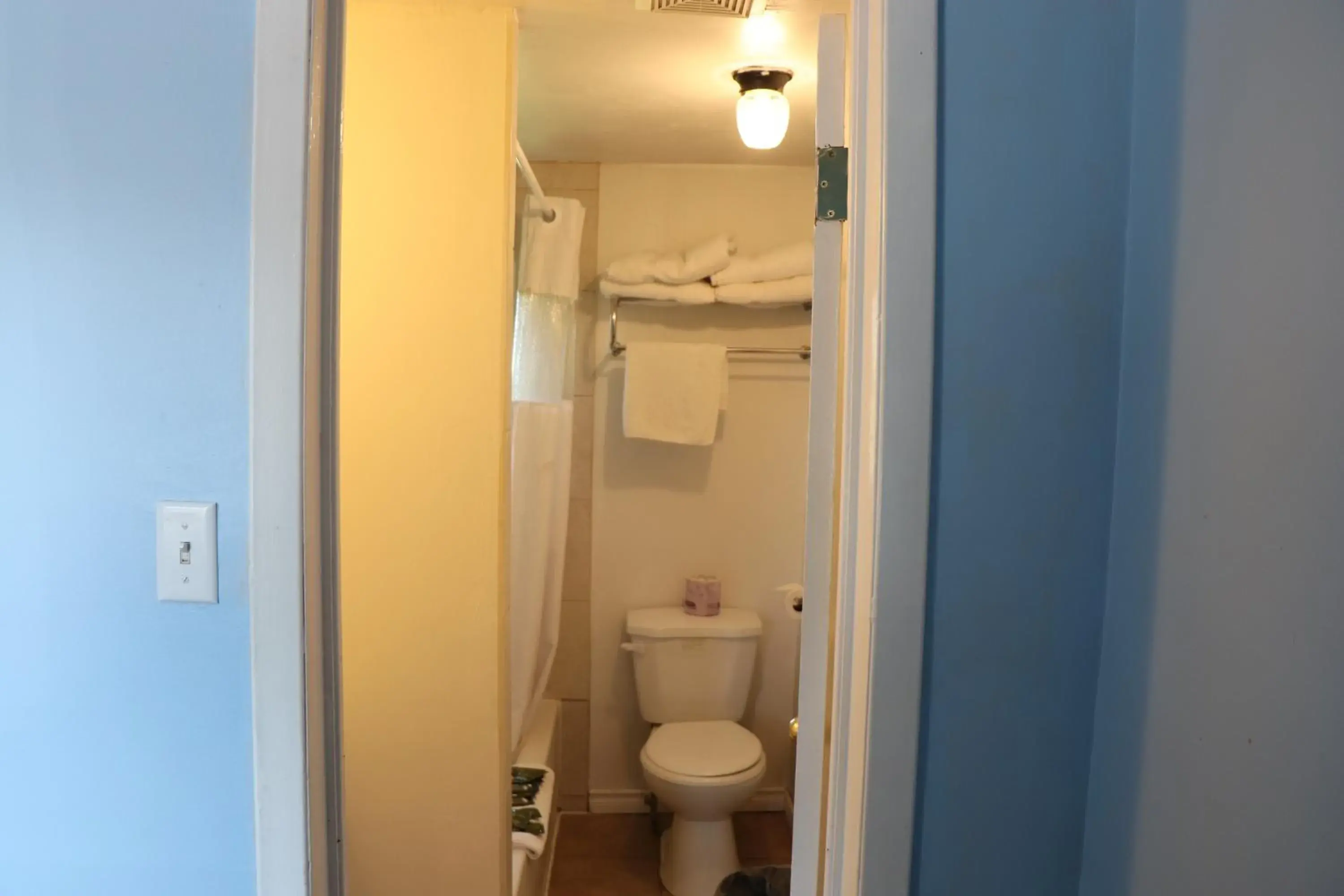 Toilet, Bathroom in Falcon Inn