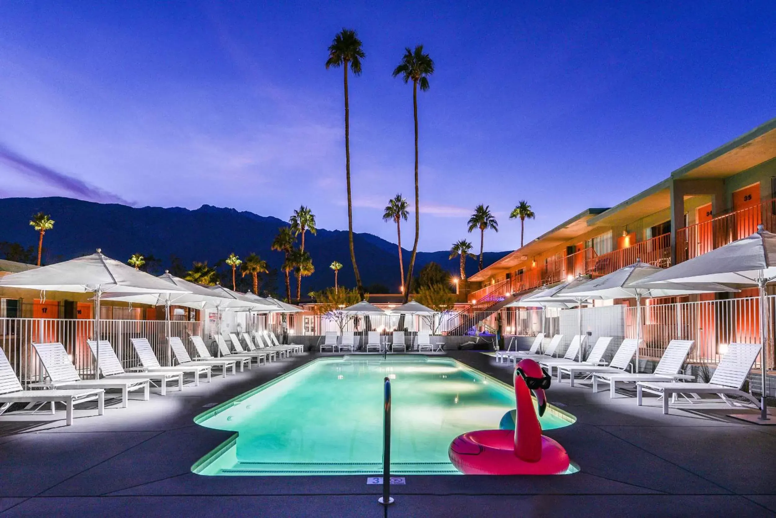 Swimming Pool in The Skylark, a Palm Springs Hotel