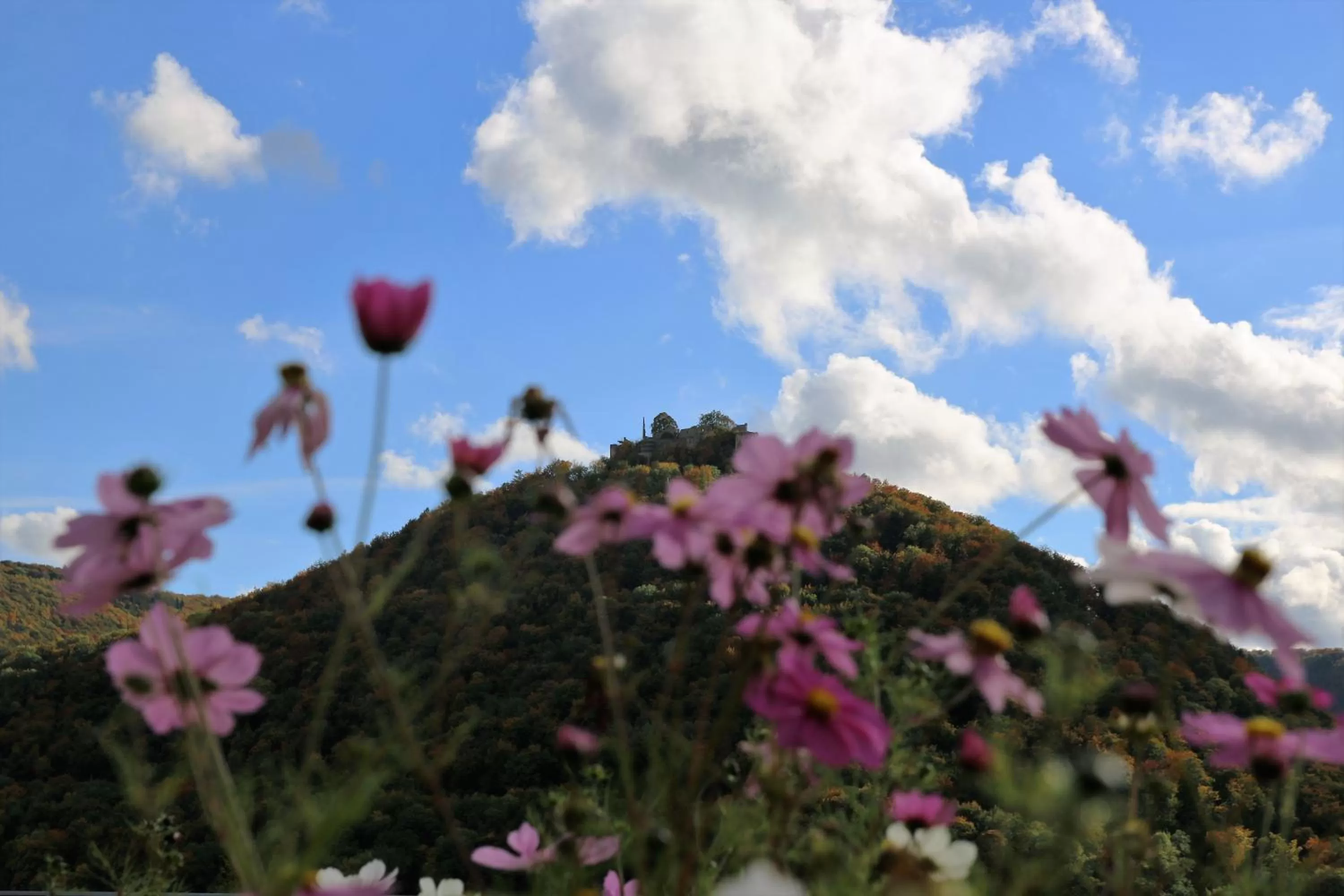 Nearby landmark in Hotel Graf Eberhard
