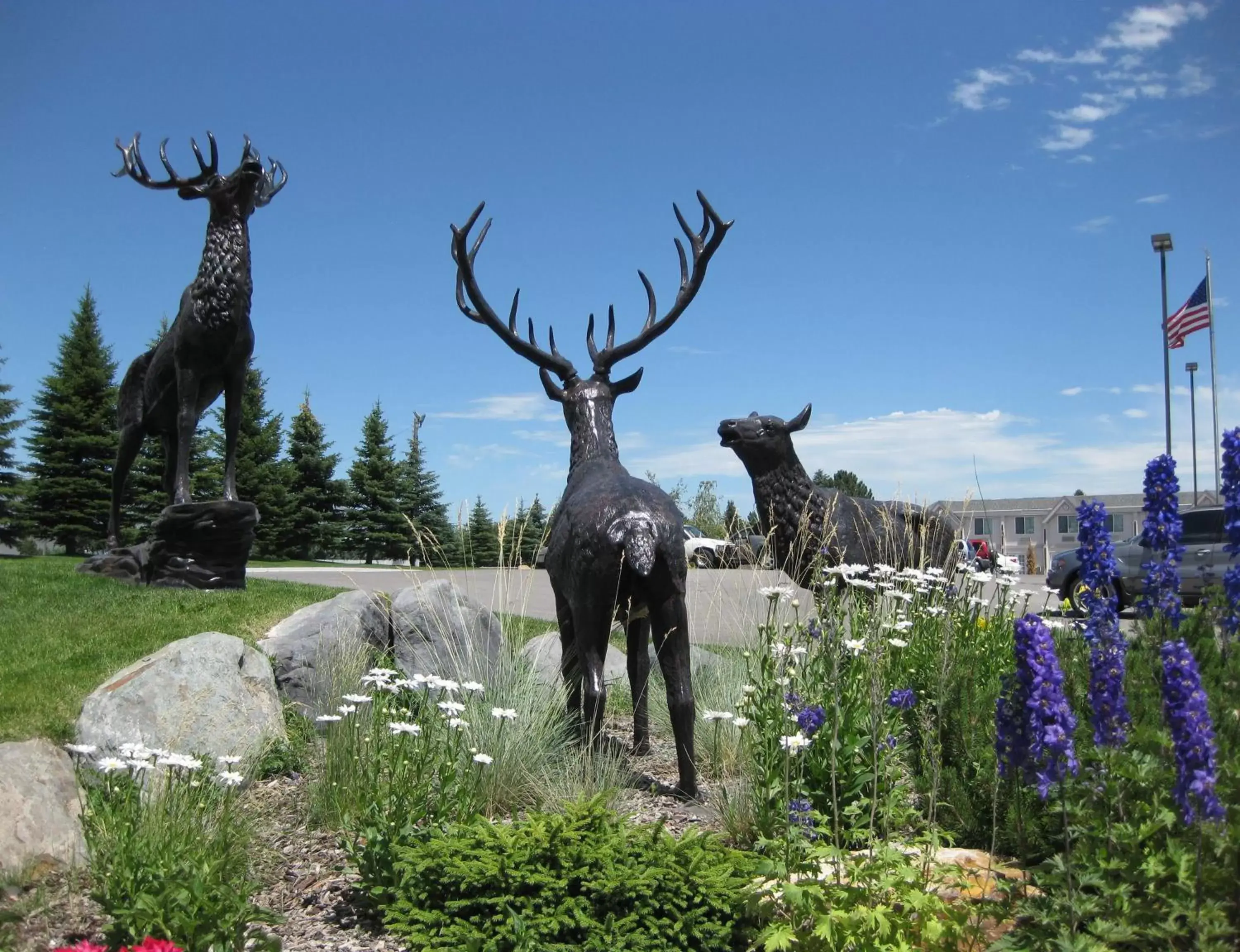 Area and facilities, Other Animals in Le Ritz Hotel and Suites