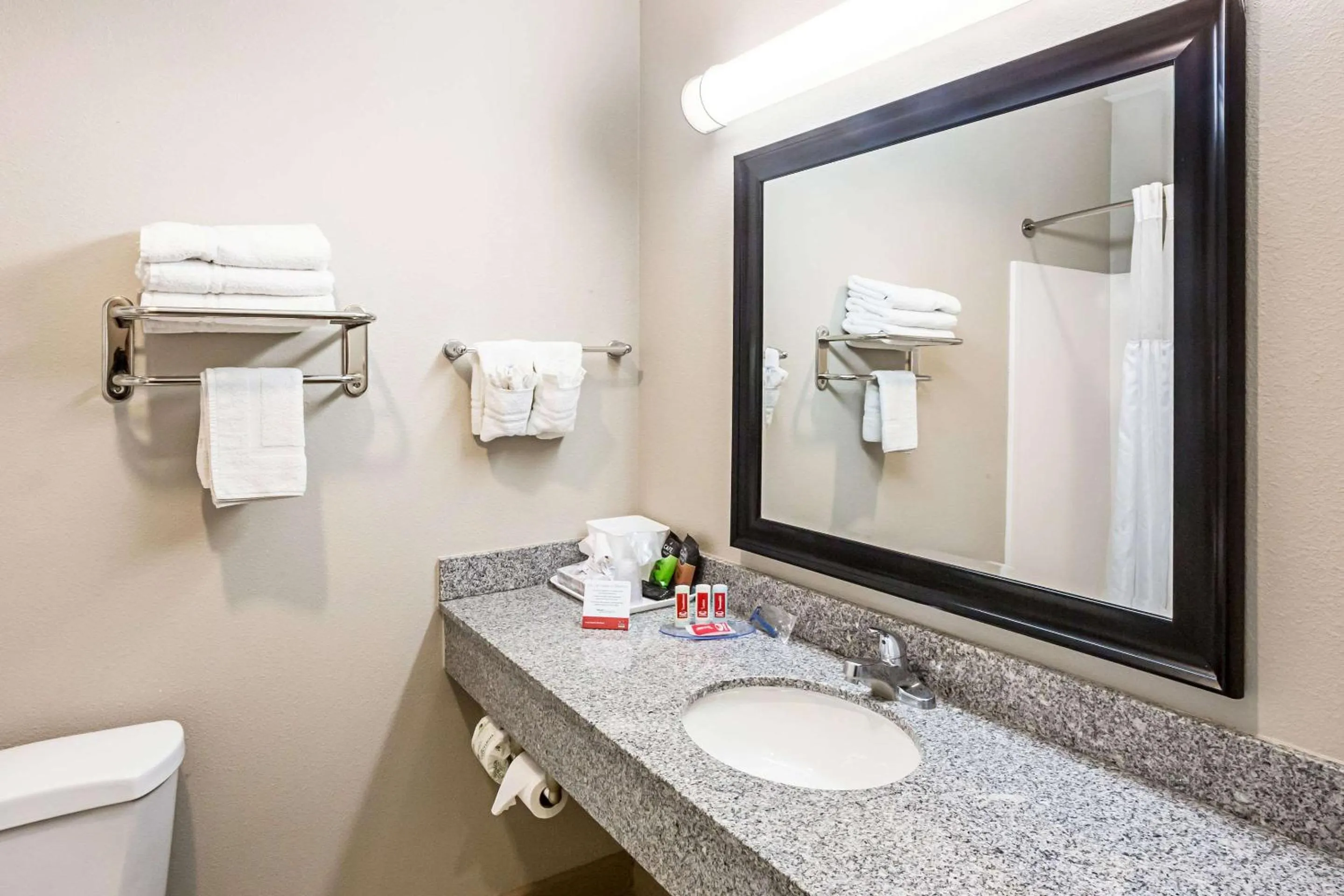 Bathroom in Econo Lodge Baton Rouge University Area