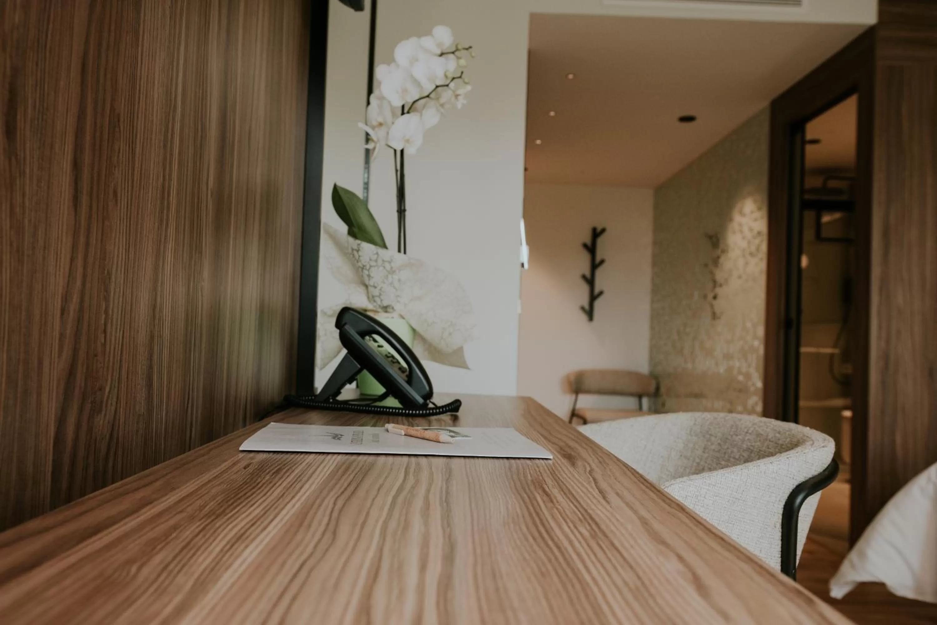 Photo of the whole room in Catalina Plaza Hotel Sostenible