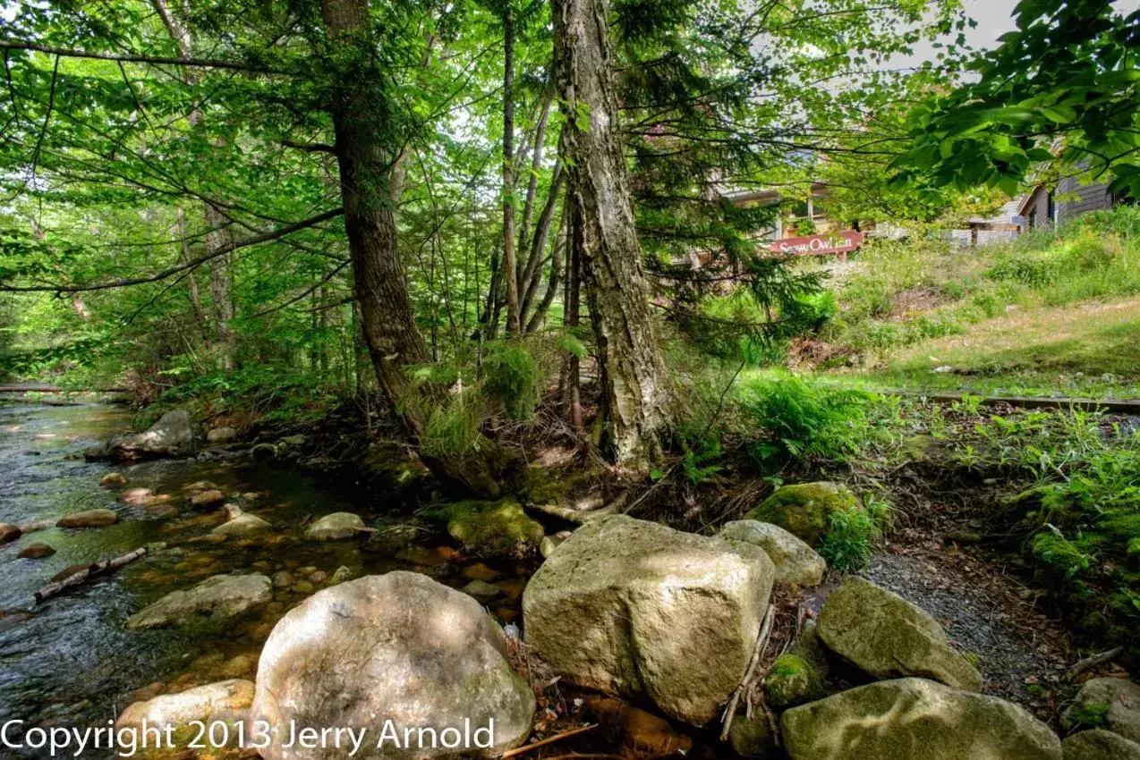 Natural Landscape in Snowy Owl Inn