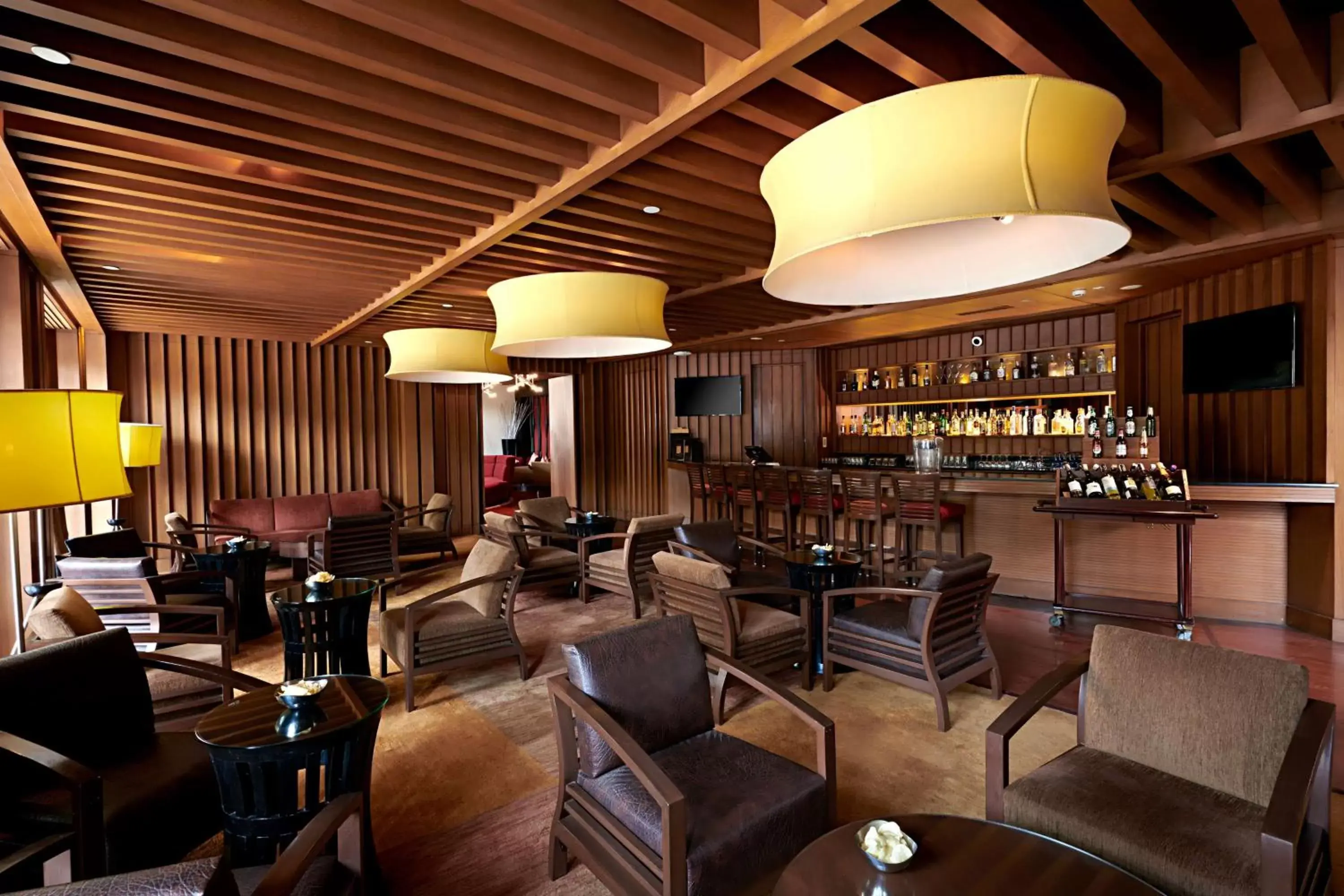 Lounge or bar, Restaurant/Places to Eat in Radisson Blu Resort & Spa Alibaug