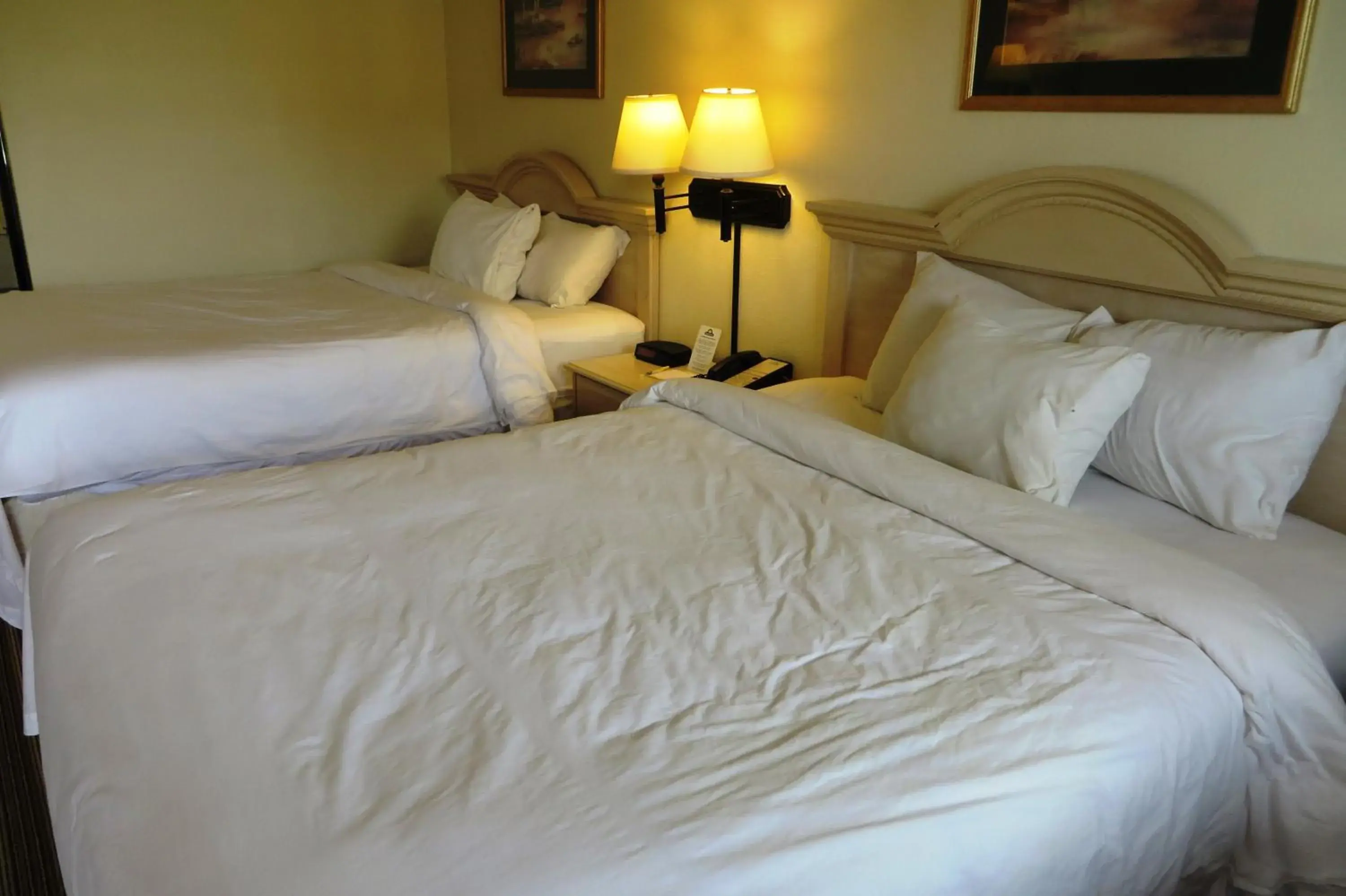 Bed in Days Inn by Wyndham Plainfield Bed in Days Inn by Wyndham Plainfield