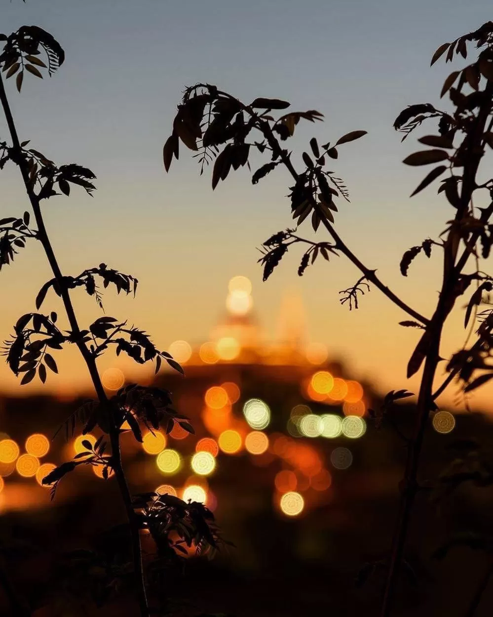 Hotel Pellegrino E Pace