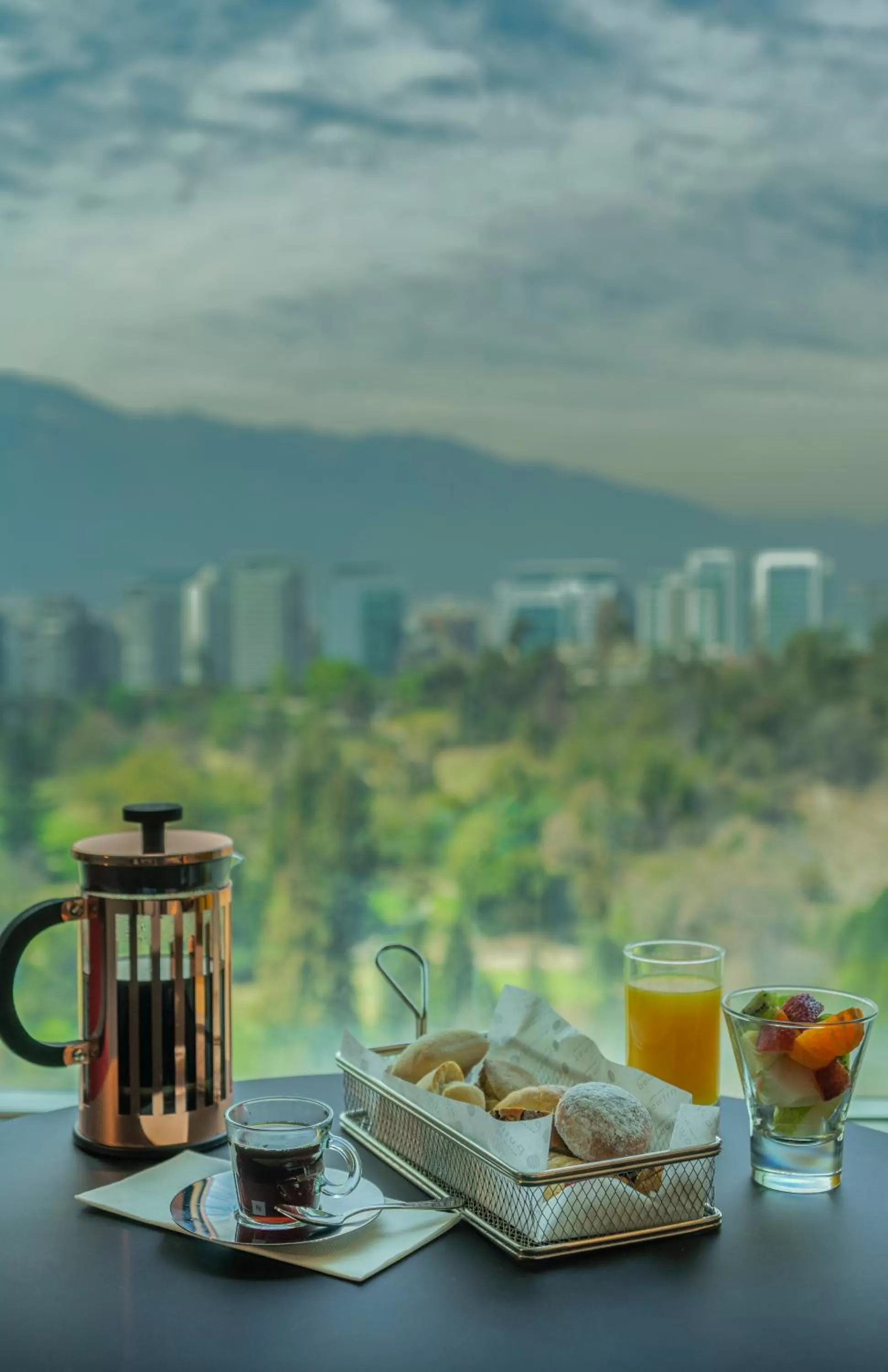 View (from property/room) in Pullman Santiago Vitacura