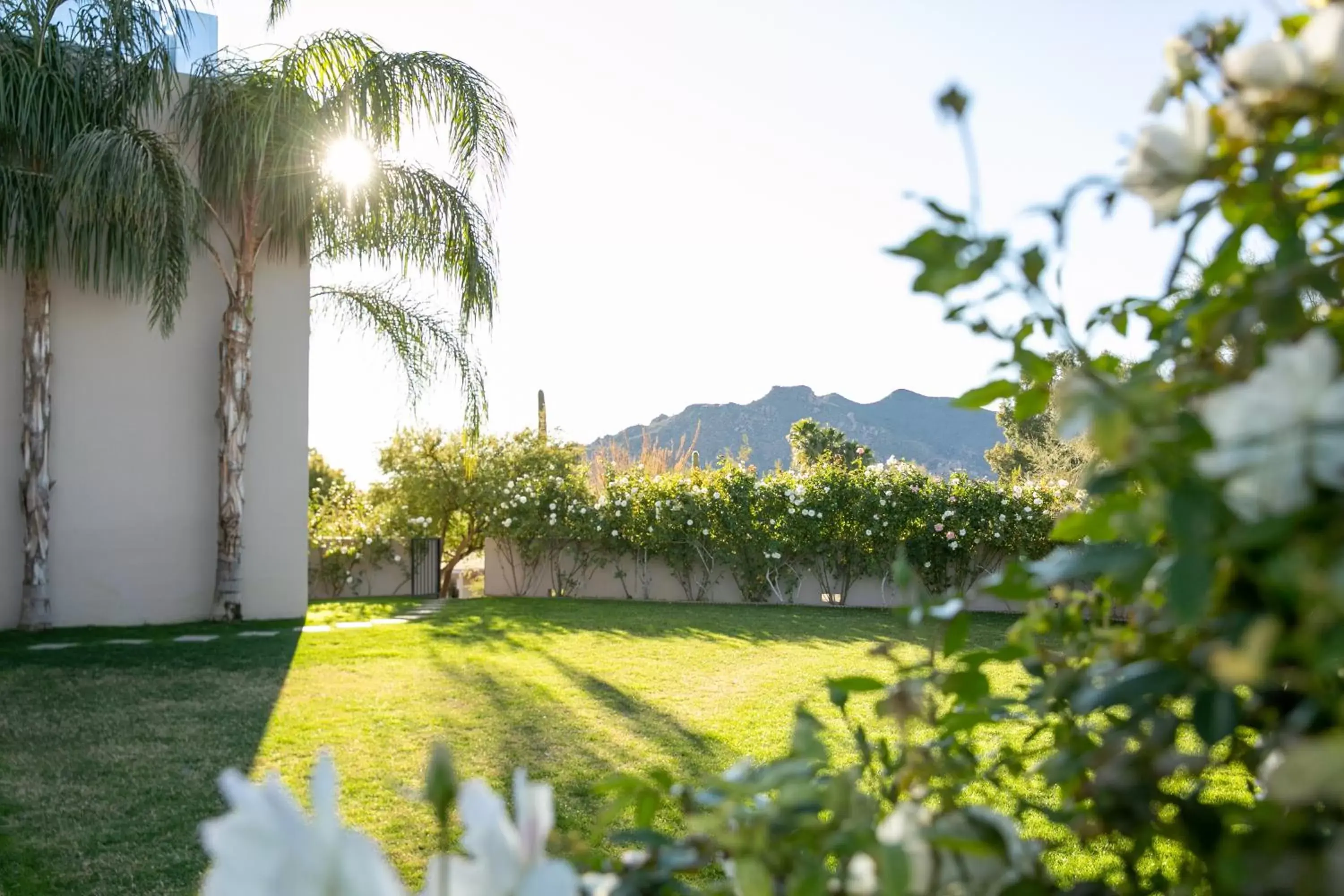 Garden in CIVANA Wellness Resort & Spa