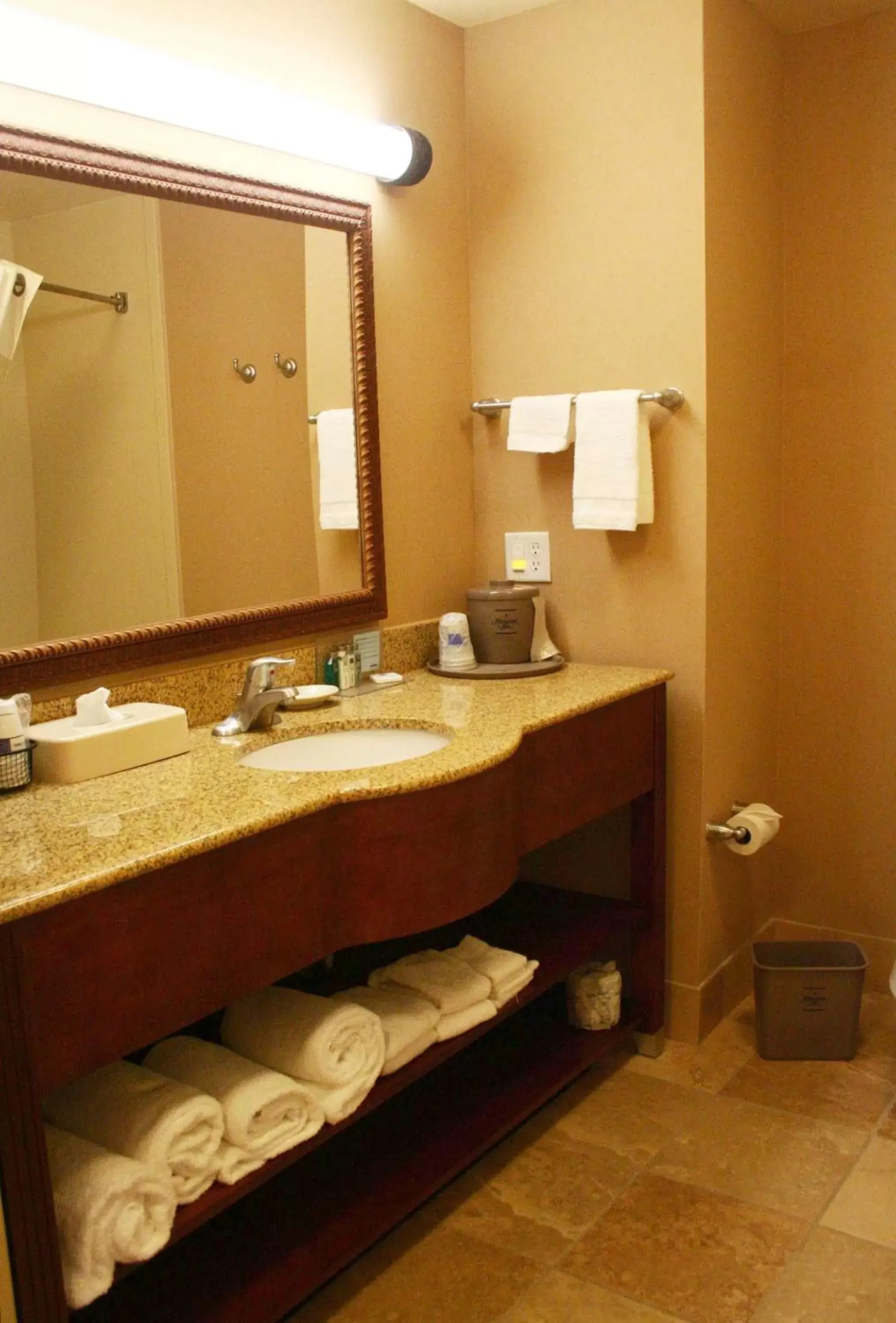 Bathroom in Hampton Inn Sierra Vista