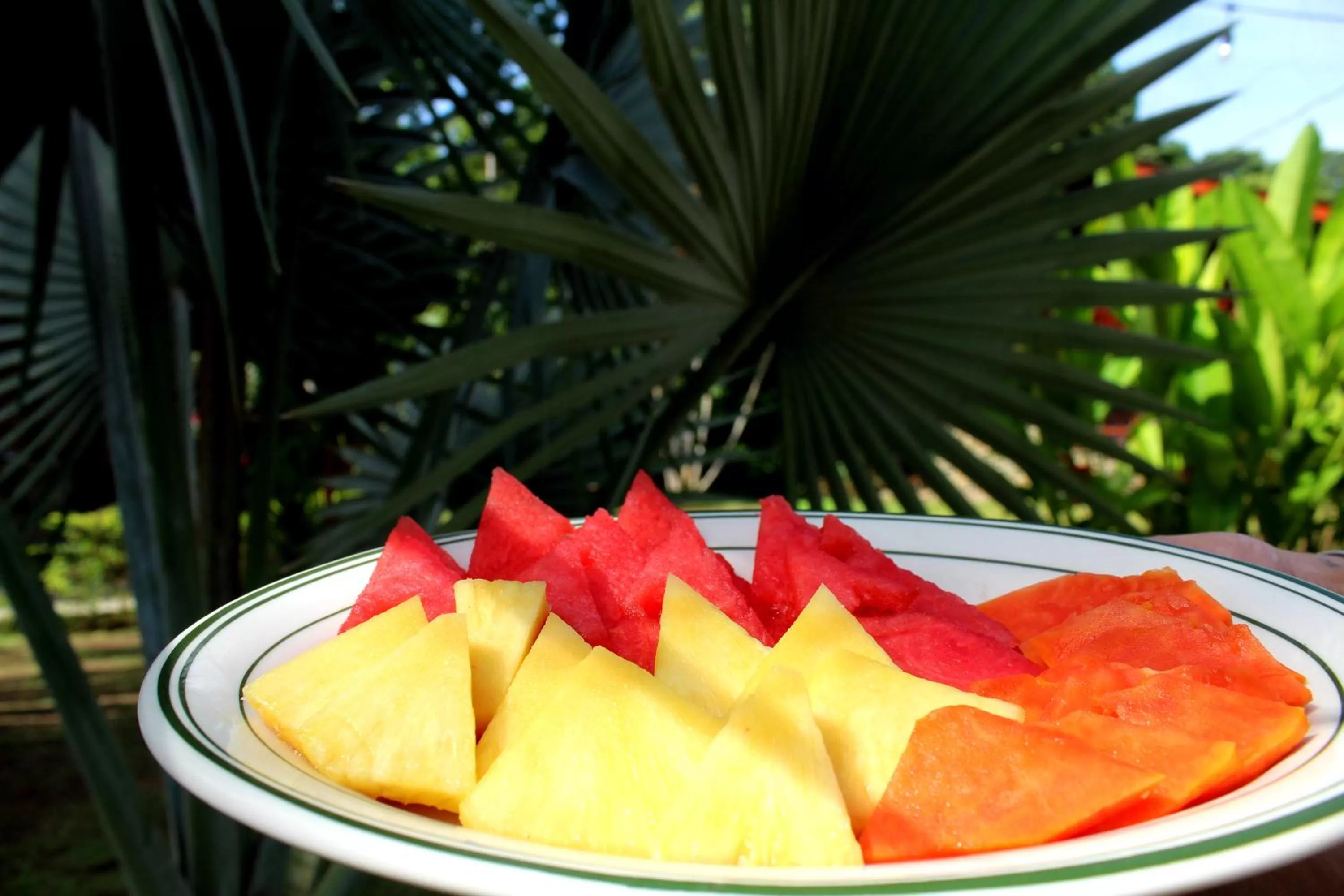 Continental breakfast in Hotel Catappa