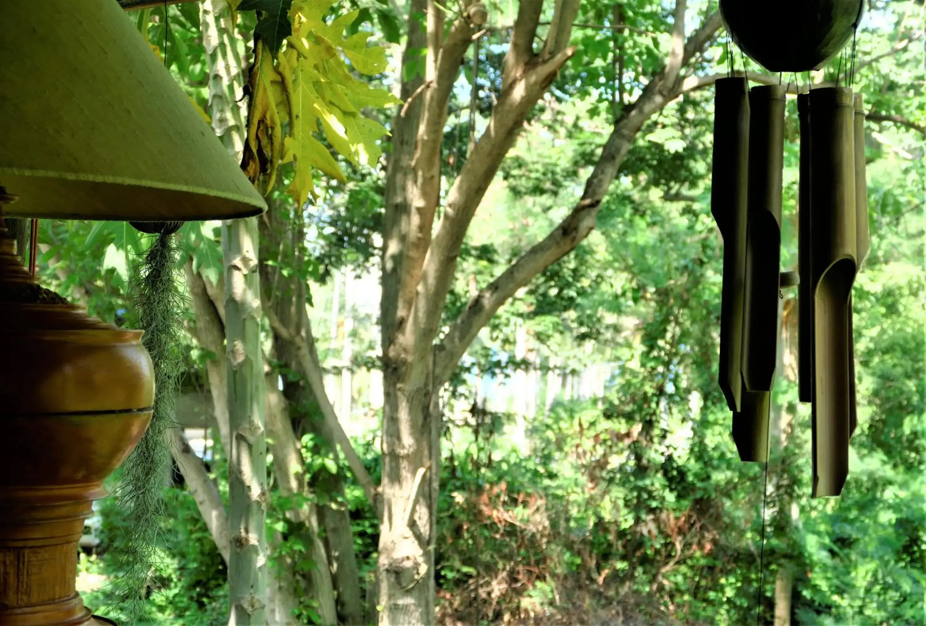 Garden in Baan Sukreep Resort