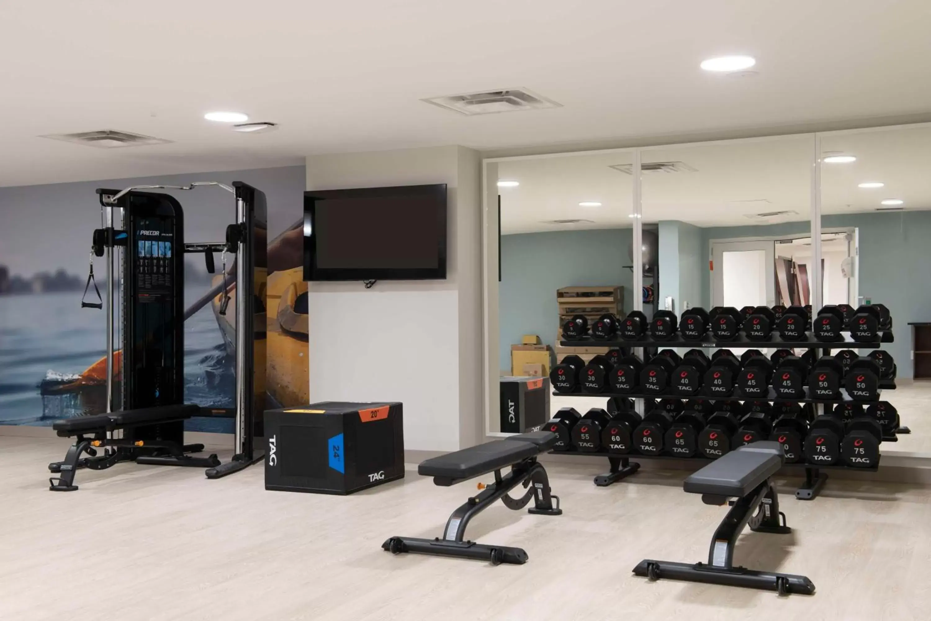 Fitness centre/facilities, Fitness Center/Facilities in Hotel Canandaigua, Tapestry Collection By Hilton