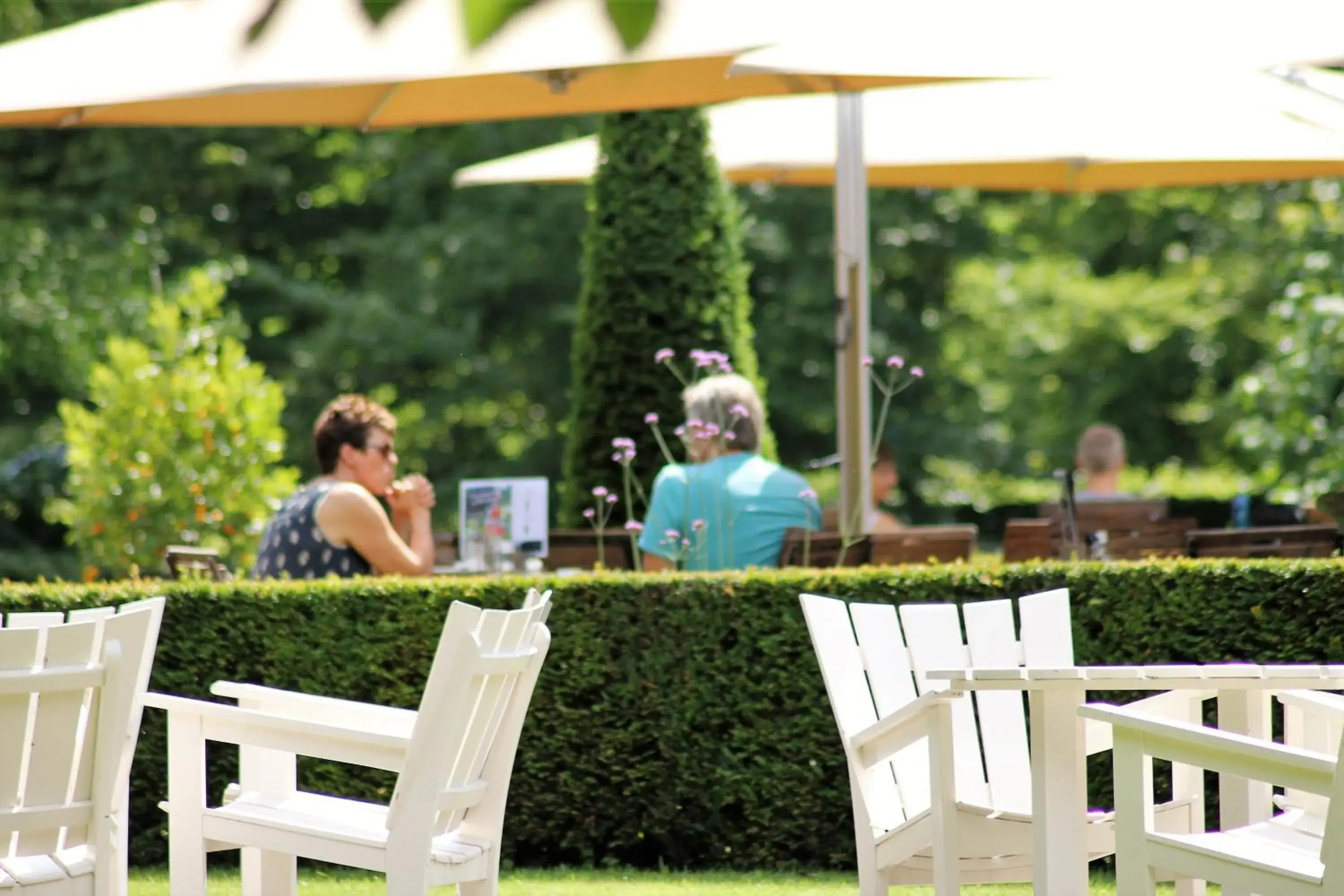 Balcony/Terrace in Kasteel De Vanenburg